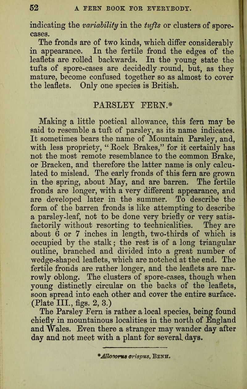 indicating the variability in the tufts or clusters of spore- cases. The fronds are of two kinds, which differ considerably in appearance. In the fertile frond the edges of the leaflets are rolled backwards. In the young state the tufts of spore-cases are decidedly round, but, as they mature, become confused together so as almost to cover the leaflets. Only one species is British. PAESLEY PEEK* Making a little poetical allowance, this fern may be said to resemble a tuft of parsley, as its name indicates. It sometimes bears the name of Mountain Parsley, and, with less propriety, “ Eock Brakes,” for it certainly has not the most remote resemblance to the common Brake, or Bracken, and therefore the latter name is only calcu- lated to mislead. The early fronds of this fern are grown in the spring, about May, and are barren. The fertile fronds are longer, with a very different appearance, and are developed later in the summer. To describe the form of the barren fronds is like attempting to describe a parsley-leaf, not to be done very briefly or very satis- factorily without resorting to technicalities. They are about 6 or 7 inches in length, two-thirds of which is occupied by the stalk; the rest is of a long triangular outline, branched and divided into a great number of wedge-shaped leaflets, which are notched at the end. The fertile fronds are rather longer, and the leaflets are nar- rowly oblong. The clusters of spore-cases, though when young distinctly circular on the backs of the leaflets, soon spread into each other and cover the entire surface. (Plate III., figs. 2, 3.) The Parsley Pern is rather a local species, being found chiefly in mountainous localities in the north of England and Wales. Even there a stranger may wander day after day and not meet with a plant for several days. *Allonoru9 erispus, Benbt.