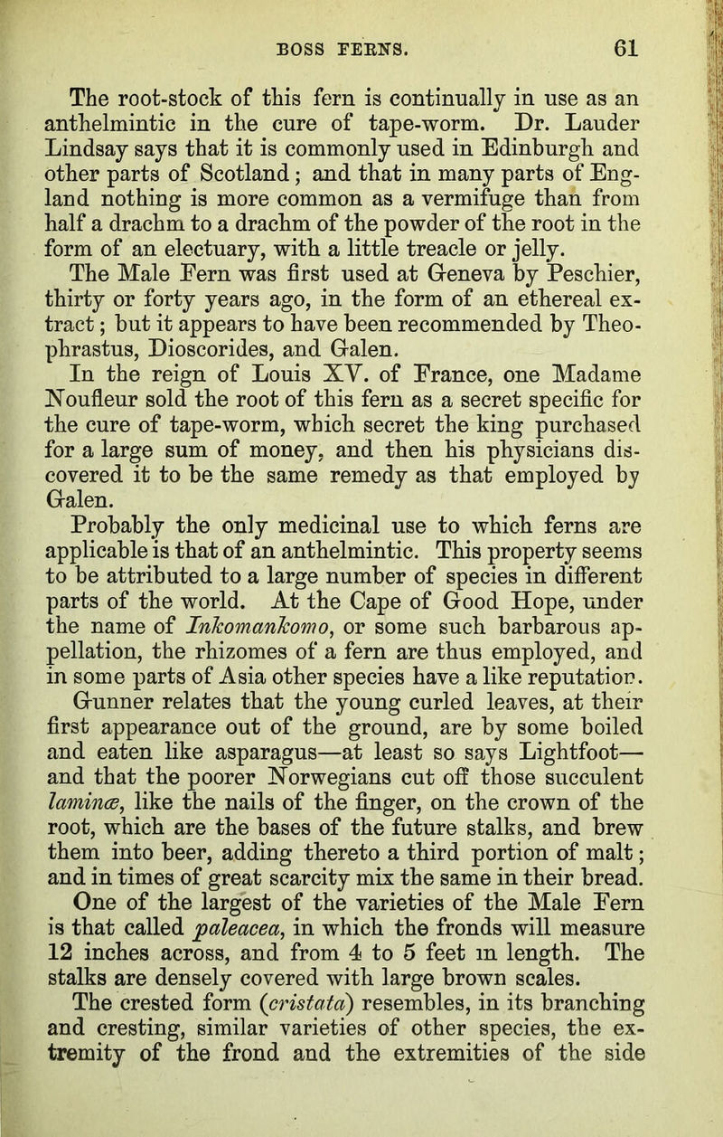 The root-stock of this fern is continually in use as an anthelmintic in the cure of tape-worm. Dr. Lauder Lindsay says that it is commonly used in Edinburgh and other parts of Scotland; and that in many parts of Eng- land nothing is more common as a vermifuge than from half a drachm to a drachm of the powder of the root in the form of an electuary, with a little treacle or jelly. The Male Eern was first used at Geneva by Peschier, thirty or forty years ago, in the form of an ethereal ex- tract ; but it appears to have been recommended by Theo- phrastus, Dioscorides, and Galen. In the reign of Louis XV. of Erance, one Madame Noufleur sold the root of this fern as a secret specific for the cure of tape-worm, which secret the king purchased for a large sum of money, and then his physicians dis- covered it to be the same remedy as that employed Galen. Probably the only medicinal use to which ferns are applicable is that of an anthelmintic. This property seems to be attributed to a large number of species in different parts of the world. At the Cape of Good Hope, under the name of Inkomankomo, or some such barbarous ap- pellation, the rhizomes of a fern are thus employed, and in some parts of Asia other species have a like reputation. Gunner relates that the young curled leaves, at their first appearance out of the ground, are by some boiled and eaten like asparagus—at least so says Lightfoot— and that the poorer Norwegians cut off those succulent laminae, like the nails of the finger, on the crown of the root, which are the bases of the future stalks, and brew them into beer, adding thereto a third portion of malt; and in times of great scarcity mix the same in their bread. One of the largest of the varieties of the Male Eern is that called paleacea, in which the fronds will measure 12 inches across, and from 4 to 5 feet m length. The stalks are densely covered with large brown scales. The crested form (cristatci) resembles, in its branching and cresting, similar varieties of other species, the ex- tremity of the frond and the extremities of the side