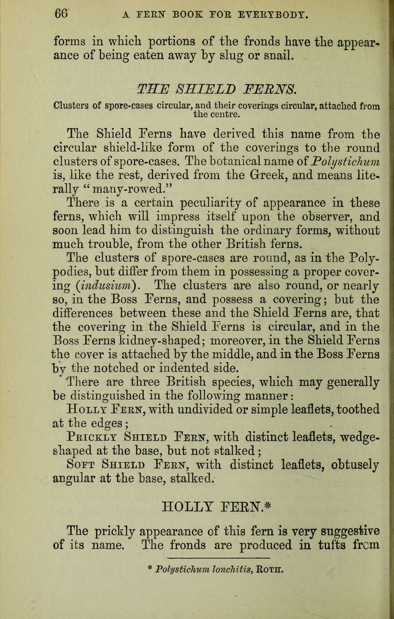 forms in which portions of the fronds have the appear- ance of being eaten away by slug or snail. THE SHIELD FLEES. Clusters of spore-cases circular, and their coverings circular, attached from the centre. The Shield Terns have derived this name from tbe circular shield-like form of the coverings to tbe round clusters of spore-cases. The botanical name of Dolystichum is, like the rest, derived from the Greek, and means lite- rally “ many-rowed.” There is a certain peculiarity of appearance in these ferns, which will impress itself upon the observer, and soon lead him to distinguish the ordinary forms, without much trouble, from the other British ferns. The clusters of spore-cases are round, as in the Poly- podies, but differ from them in possessing a proper cover- ing (indusium). The clusters are also round, or nearly so, in the Boss Perns, and possess a covering; but the differences between these and the Shield Perns are, that the covering in the Shield Perns is circular, and in the Boss Perns kidney-shaped; moreover, in the Shield Perns the cover is attached by the middle, and in the Boss Perns by the notched or indented side. There are three British species, which may generally be distinguished in the following manner: Holly Perk, with undivided or simple leaflets, toothed at the edges; Prickly Shield Perk, with distinct leaflets, wedge- shaped at the base, but not stalked; Soft Shield Perk, with distinct leaflets, obtusely angular at the base, stalked. HOLLY PEEK* The prickly appearance of this fern is very suggestive of its name. The fronds are produced in tufts from
