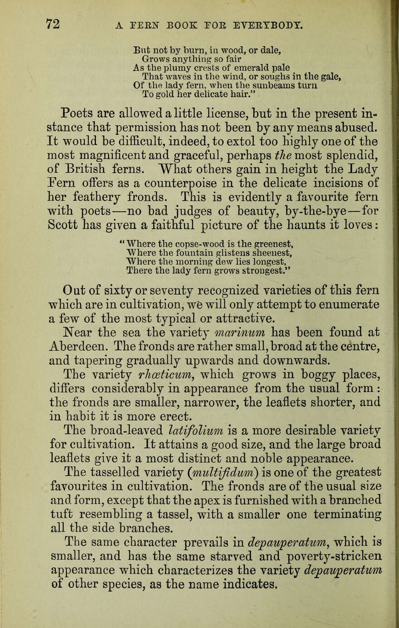 But not by burn, in wood, or dale. Grows anything so fair As the plumy crests of emerald pale That waves in the wind, or soughs in the gale, Of the lady fern, when the sunbeams turn To gold her delicate hair.” Poets are allowed a little license, but in tbe present in- stance that permission has not been by any means abused. It would be difficult, indeed, to extol too highly one of the most magnificent and graceful, perhaps the most splendid, of British ferns. What others gain in height the Lady Pern offers as a counterpoise in the delicate incisions of her feathery fronds. This is evidently a favourite fern with poets—no bad judges of beauty, by-the-bye—for Scott has given a faithful picture of the haunts it loves: “ Where the copse-wood is the greenest. Where the fountain glistens sheenest. Where the morning dew lies longest, There the lady fern grows strongest.” Out of sixty or seventy recognized varieties of this fern which are in cultivation, we will only attempt to enumerate a few of the most typical or attractive. Near the sea the variety marinum has been found at Aberdeen. The fronds are rather small, broad at the centre, and tapering gradually upwards and downwards. The variety rhoeticum, which grows in boggy places, differs considerably in appearance from the usual form : the fronds are smaller, narrower, the leaflets shorter, and in habit it is more erect. The broad-leaved latifolium is a more desirable variety for cultivation. It attains a good size, and the large broad leaflets give it a most distinct and noble appearance. The tasselled variety ([multifidum) is one of the greatest favourites in cultivation. The fronds are of the usual size and form, except that the apex is furnished with a branched tuft resembling a tassel, with a smaller one terminating all the side branches. The same character prevails in depauperatum, which is smaller, and has the same starved and poverty-stricken appearance which characterizes the variety dejpauperatim of other species, as the name indicates.