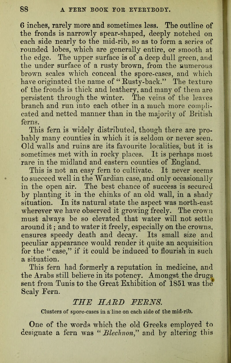 6 inches, rarely more and sometimes less. The outline of the fronds is narrowly spear-shaped, deeply notched on each side nearly to the mid-rib, so as to form a series of rounded lobes, which are generally entire, or smooth at the edge. The upper surface is of a deep dull green, and the under surface of a rusty brown, from the numerous brown scales wrhich conceal the spore-cases, and which have originated the name of “ Rusty-back.” The texture of the fronds is thick and leathery, and many of them are persistent through the winter. The veins of the leaves branch and run into each other in a much more compli- cated and netted manner than in the majority of British ferns. This fern is widely distributed, though there are pro- bably many counties in which it is seldom or never seen. Old walls and ruins are its favourite localities, but it is sometimes met with in rocky places. It is perhaps most rare in the midland and eastern counties of England. This is not an easy fern to cultivate. It never seems to succeed well in the Wardian case, and only occasionally in the open air. The best chance of success is secured by planting it in the chinks of an old wall, in a shady situation. In its natural state the aspect was north-east wherever we have observed it growing freely. The crown must always be so elevated that water will not settle around it; and to water it freely, especially on the crowns, ensures speedy death and decay. Its small size and peculiar appearance would render it quite an acquisition for the “ case,” if it could be induced to flourish in such a situation. This fern had formerly a reputation in medicine, and the Arabs still believe in its potency. Amongst the sent from Tunis to the Great Exhibition of 1851 w Scaly Eern. THE HARD FERNS. Clusters of spore-cases in a line on each side of the mid-rib. One of the words which the old Greeks employed to designate a fern was “ Blechnon,” and by altering this