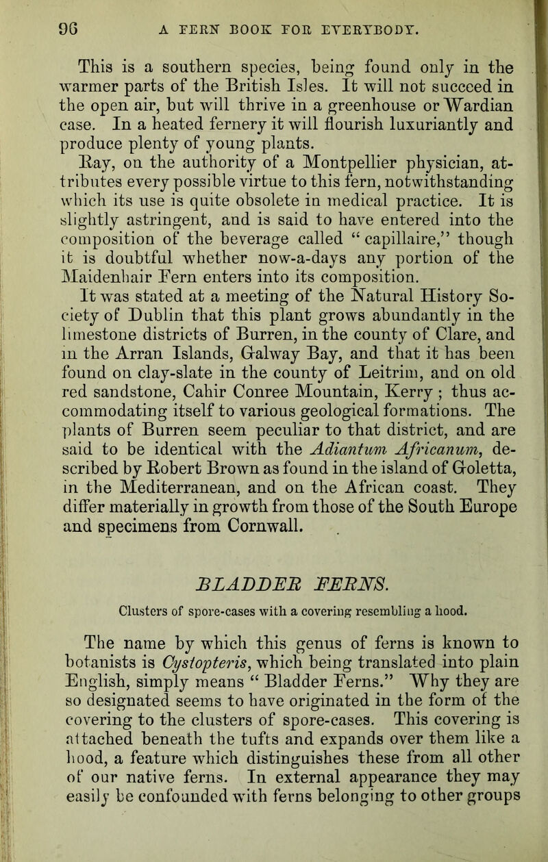 This is a southern species, being found only in the warmer parts of the British Isles. It will not succeed in the open air, but will thrive in a greenhouse or Wardian case. In a heated fernery it will flourish luxuriantly and produce plenty of young plants. Bay, on the authority of a Montpellier physician, at- tributes every possible virtue to this fern, notwithstanding which its use is quite obsolete iu medical practice. It is slightly astringent, and is said to have entered into the composition of the beverage called “ capillaire,” though it is doubtful whether now-a-days any portion of the Maidenhair Bern enters into its composition. It was stated at a meeting of the Natural History So- ciety of Dublin that this plant grows abundantly in the limestone districts of Burren, in the county of Clare, and in the Arran Islands, Gralway Bay, and that it has been found on clay-slate in the county of Leitrim, and on old red sandstone, Cahir Conree Mountain, Kerry ; thus ac- commodating itself to various geological formations. The plants of Burren seem peculiar to that district, and are said to be identical with the Adiantum Africanum, de- scribed by Bobert Brown as found in the island of Goletta, in the Mediterranean, and on the African coast. They differ materially in growth from those of the South Europe and specimens from Cornwall. BLADDER FERNS. Clusters of spore-cases with a covering resembling a liood. The name by which this genus of ferns is known to botanists is Cysiopteris, which being translated into plain English, simply means “ Bladder Ferns.” Why they are so designated seems to have originated in the form of the covering to the clusters of spore-cases. This covering is attached beneath the tufts and expands over them like a hood, a feature which distinguishes these from all other of our native ferns. In external appearance they may easily be confounded with ferns belonging to other groups