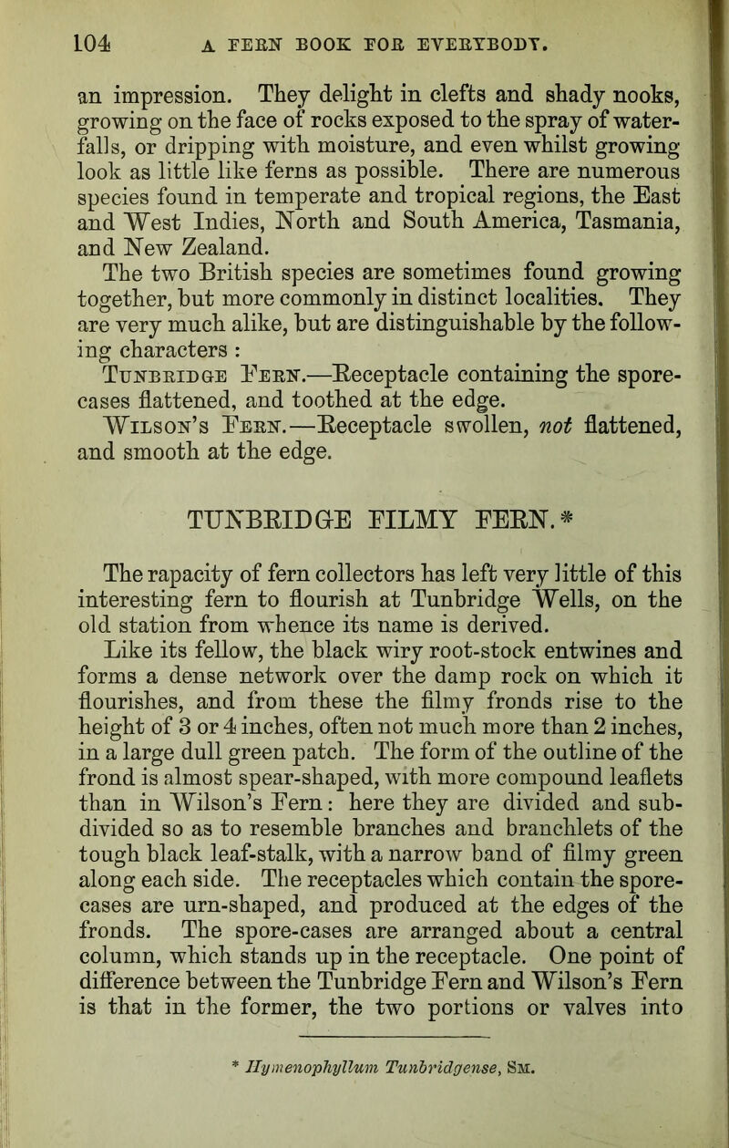 an impression. They delight in clefts and shady nooks, growing on the face of rocks exposed to the spray of water- fall s, or dripping with moisture, and even whilst growing look as little like ferns as possible. There are numerous species found in temperate and tropical regions, the East and West Indies, North and South America, Tasmania, and New Zealand. The two British species are sometimes found growing together, but more commonly in distinct localities. They are very much alike, but are distinguishable by the follow- ing characters : Tunbridge Bern.—Beceptacle containing the spore- cases flattened, and toothed at the edge. Wilson’s Bern.—Beceptacle swollen, not flattened, and smooth at the edge. TUNBBIDGrE BILMY BEEN. * The rapacity of fern collectors has left very little of this interesting fern to flourish at Tunbridge Wells, on the old station from whence its name is derived. Like its fellow, the black wiry root-stock entwines and forms a dense network over the damp rock on which it flourishes, and from these the filmy fronds rise to the height of 3 or 4 inches, often not much more than 2 inches, in a large dull green patch. The form of the outline of the frond is almost spear-shaped, with more compound leaflets than in Wilson’s Bern: here they are divided and sub- divided so as to resemble branches and branchlets of the tough black leaf-stalk, with a narrow band of filmy green along each side. The receptacles which contain the spore- cases are urn-shaped, and produced at the edges of the fronds. The spore-cases are arranged about a central column, which stands up in the receptacle. One point of difference between the Tunbridge Bern and Wilson’s Bern is that in the former, the two portions or valves into Ilymenophyllum Tunbridgense, Sm.