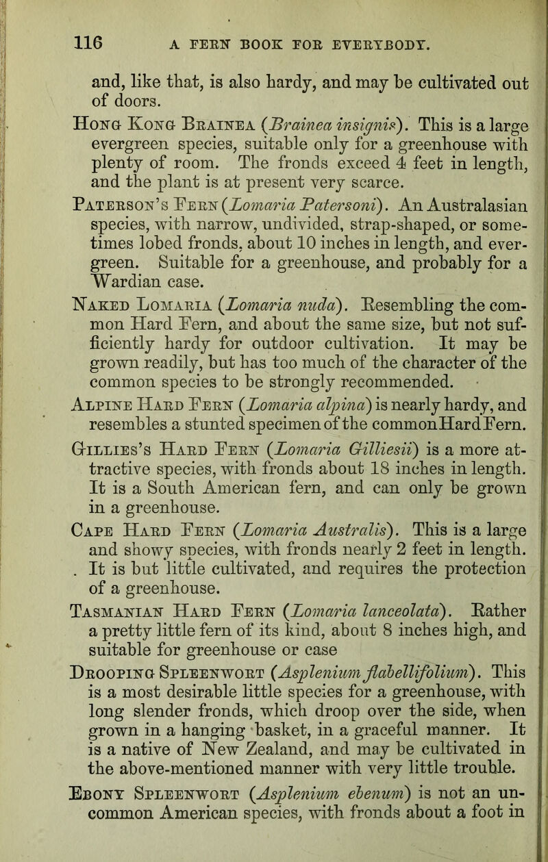 and, like that, is also hardy, and may be cultivated out of doors. Hong Kong- Brainea (JBrainea insignia). This is a large evergreen species, suitable only for a greenhouse with plenty of room. The fronds exceed 4 feet in length, and the plant is at present very scarce. Paterson’s Pern (.Lomaria Patersoni). An Australasian species, with narrow, undivided, strap-shaped, or some- times lobed fronds, about 10 inches in length, and ever- green. Suitable for a greenhouse, and probably for a Wardian case. Naked Lomaria (Lomaria nuda). Besembling the com- mon Hard Pern, and about the same size, but not suf- ficiently hardy for outdoor cultivation. It may be grown readily, but has too much of the character of the common species to be strongly recommended. Alpine Hard Pern (Lomaria alpina) is nearly hardy, and resembles a stunted specimen of the commonHardPern. Gtllies’s Hard Pern (.Lomaria Gilliesii) is a more at- tractive species, with fronds about 18 inches in length. It is a South American fern, and can only be grown in a greenhouse. Cape Hard Pern (.Lomaria Australis). This is a large and showy species, with frouds nearly 2 feet in length. . It is but little cultivated, and requires the protection of a greenhouse. Tasmanian Hard Pern (Lomaria lanceolata). Bather a pretty little fern of its kind, about 8 inches high, and suitable for greenhouse or case Drooping Spleenwort {Aspleniumflabellifodium). This is a most desirable little species for a greenhouse, with long slender fronds, which droop over the side, when grown in a hanging basket, in a graceful manner. It is a native of New Zealand, and may be cultivated in the above-mentioned manner with very little trouble. Ebony Spleenwort (.Asplenium ebenum) is not an un- common American species, with fronds about a foot in