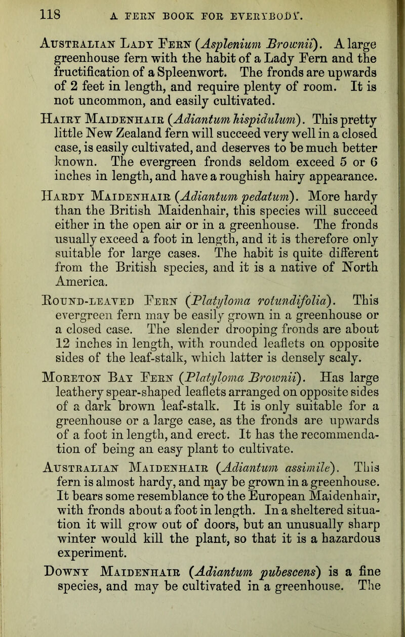 Australian Lady Eern (Asplenium Brownii). A large greenhouse fern with the habit of a Lady Eern and the fructification of a Spleenwort. The fronds are upwards of 2 feet in length, and require plenty of room. It is not uncommon, and easily cultivated. Hairy Maidenhair (Adiantum Tiispidulum). This pretty little New Zealand fern will succeed very well in a closed case, is easily cultivated, and deserves to be much better known. The evergreen fronds seldom exceed 5 or 6 inches in length, and have a roughish hairy appearance. Hardy Maidenhair (.Adiantum pedatum'). More hardy than the British Maidenhair, this species will succeed either in the open air or in a greenhouse. The fronds usually exceed a foot in length, and it is therefore only suitable for large cases. The habit is quite different from the British species, and it is a native of North America. Bound-leayed Eern (Flatyloma rotundifolia). This evergreen fern may be easity grown in a greenhouse or a closed case. The slender drooping fronds are about 12 inches in length, with rounded leaflets on opposite sides of the leaf-stalk, which latter is densely scaly. Moreton Bay Eern (Blatyloma Broivnii). Has large leathery spear-shaped leaflets arranged on opposite sides of a dark brown leaf-stalk. It is only suitable for a greenhouse or a large case, as the fronds are upwards of a foot in length, and erect. It has the recommenda- tion of being an easy plant to cultivate. Australian Maidenhair (Adiantum assimile). This fern is almost hardy, and may be grown in a greenhouse. It bears some resemblance to the European Maidenhair, with fronds about a foot in length. In a sheltered situa- tion it will grow out of doors, but an unusually sharp winter would kill the plant, so that it is a hazardous experiment. Downy Maidenhair (Adiantum pulescens) is a fine species, and may be cultivated in a greenhouse. The