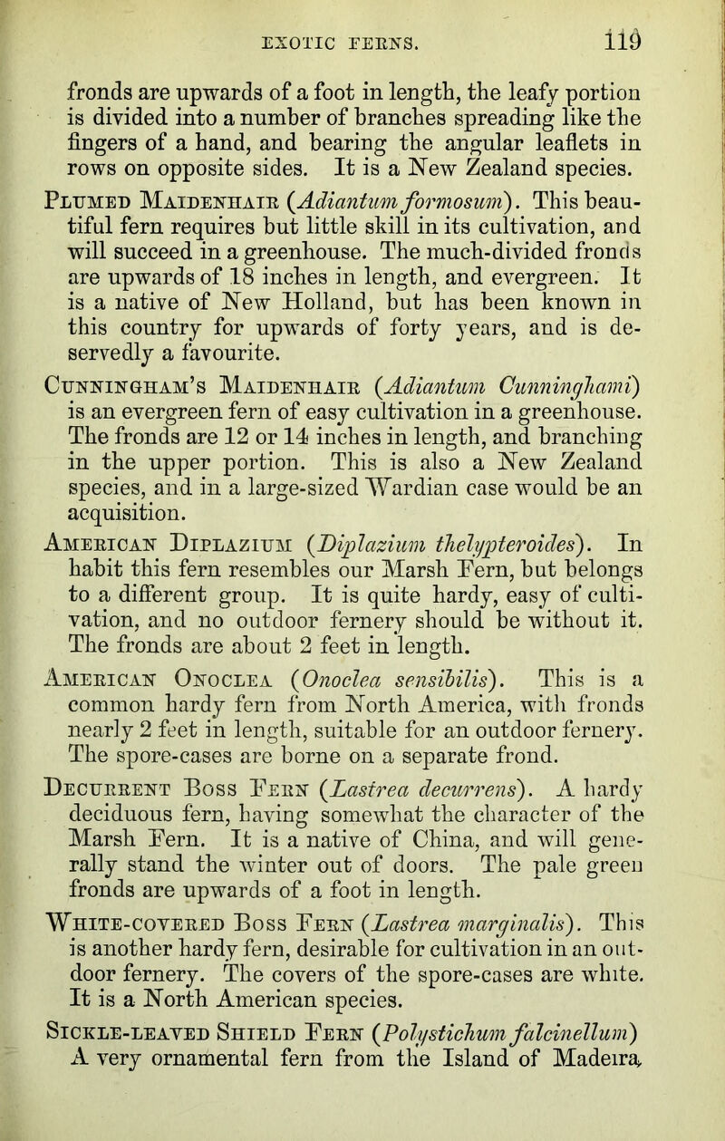 iid fronds are upwards of a foot in length, the leafy portion is divided into a number of branches spreading like the fingers of a hand, and bearing the angular leaflets in rows on opposite sides. It is a New Zealand species. Plumed Maidenhair {Adiantumformosum). This beau- tiful fern requires but little skill in its cultivation, and will succeed in a greenhouse. The much-divided fronds are upwards of 18 inches in length, and evergreen. It is a native of New Holland, but has been known in this country for upwards of forty years, and is de- servedly a favourite. Cunningham’s Maidenhair (.Adiantum Cunninglmmi) is an evergreen fern of easy cultivation in a greenhouse. The fronds are 12 or 14 inches in length, and branching in the upper portion. This is also a New Zealand species, and in a large-sized Wardian case would be an acquisition. American Diplazium (Diplazium thelypteroides). In habit this fern resembles our Marsh Pern, but belongs to a different group. It is quite hardy, easy of culti- vation, and no outdoor fernery should be without it. The fronds are about 2 feet in length. American Onoclea (Onoclea sensibilis). This is a common hardy fern from North America, with fronds nearly 2 feet in length, suitable for an outdoor fernery. The spore-cases are borne on a separate frond. Decurrent Boss Pern (.Lasfrea decurrens). A hardy deciduous fern, having somewhat the character of the Marsh Pern. It is a native of China, and will gene- rally stand the winter out of doors. The pale green fronds are upwards of a foot in length. White-cowered Boss Pern (Lastrea marginolis). This is another hardy fern, desirable for cultivation in an out- door fernery. The covers of the spore-cases are white. It is a North American species. Sickle-leaned Shield Pern {Polystichum falcinellum) A very ornamental fern from the Island of Madeira^