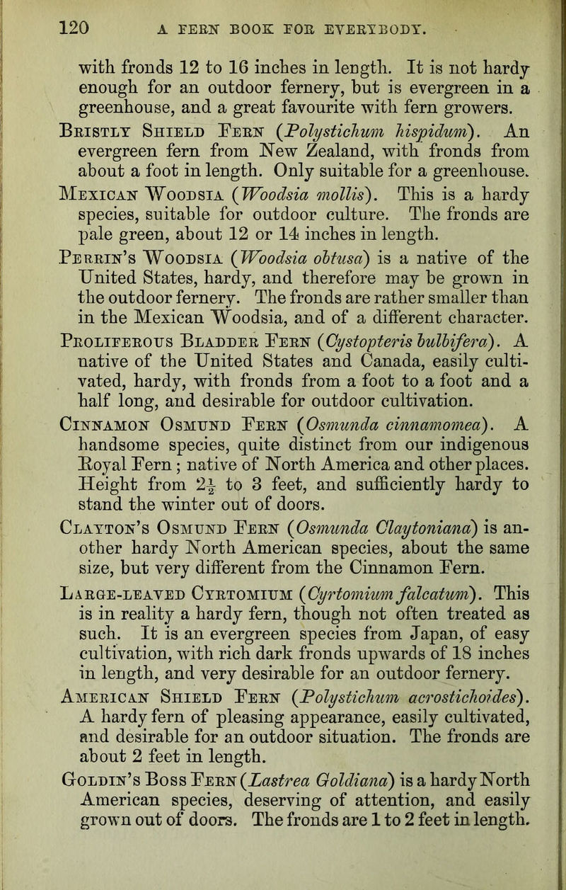 with fronds 12 to 16 inches in length. It is not hardy enough for an outdoor fernery, but is evergreen in a greenhouse, and a great favourite with fern growers. Bristly Shield Bern (Polystichum hispidum). An evergreen fern from New Zealand, with fronds from about a foot in length. Only suitable for a greenhouse. Mexican Woodsia (Woodsia mollis). This is a hardy species, suitable for outdoor culture. The fronds are pale green, about 12 or 14 inches in length. .Perrin’s Woodsia (Woodsia obtusa) is a native of the United States, hardy, and therefore may be grown in the outdoor fernery. The fronds are rather smaller than in the Mexican Woodsia, and of a different character. Proliferous Bladder Pern (Cystopteris bulbiferod). A native of the United States and Canada, easily culti- vated, hardy, with fronds from a foot to a foot and a half long, and desirable for outdoor cultivation. Cinnamon Osmund Pern (Osmunda cinnamomea). A handsome species, quite distinct from our indigenous Boyal Pern ; native of North America and other places. Height from 2-| to 3 feet, and sufficiently hardy to stand the winter out of doors. Clayton’s Osmund Pern (Osmunda Claytoniana) is an- other hardy North American species, about the same size, but very different from the Cinnamon Pern. Large-leayed Cyrtomium (Cyrtomiim falcatum). This is in reality a hardy fern, though not often treated as such. It is an evergreen species from Japan, of easy cultivation, with rich dark fronds upwards of 18 inches in length, and very desirable for an outdoor fernery. American Shield Pern (JPolystichum acrostichoides). A hardy fern of pleasing appearance, easily cultivated, and desirable for an outdoor situation. The fronds are about 2 feet in length. Goldin’s Boss Pern (hastrea Goldiana) is a hardy North American species, deserving of attention, and easily grown out of doors. The fronds are 1 to 2 feet in length.