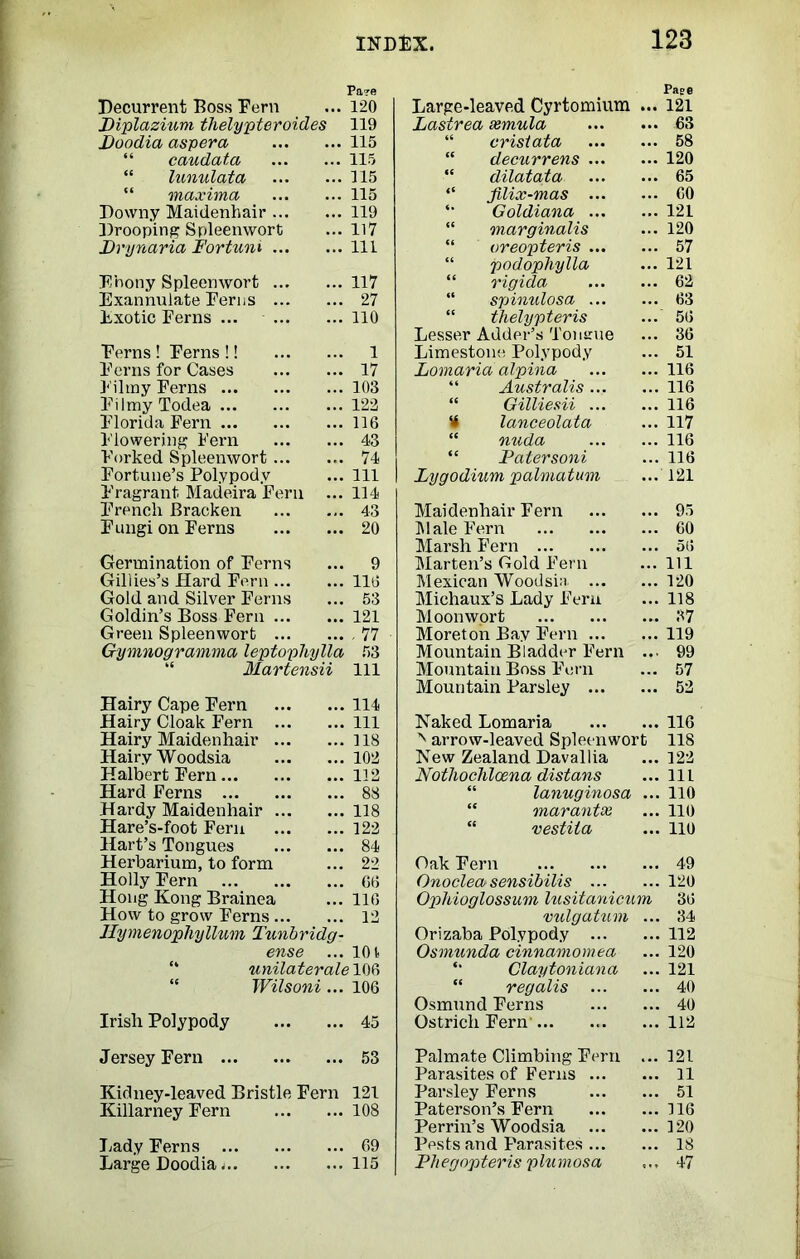 Pare Decurrent Boss Fern ... 120 Diplazium thelypteroides 119 Doodia aspera 115 “ caudata 115 “ lunulata 115 “ maxima 115 Downy Maidenhair 119 Drooping Spleenwort ...117 Drynaria Fortuni Ill Ebony Spleemvort 117 Exannulate Ferns 27 Exotic Ferns ... 110 Ferns ! Ferns !! 1 Ferns for Cases 17 Filmy Ferns 103 Filmy Todea 122 Florida Fern 116 Flowering Fern 43 Forked Spleenwort 74 Fortune’s Polypody ... Ill Fragrant Madeira Fern ... 114 French Bracken 43 Fungi on Ferns 20 Germination of Ferns ... 9 Gillies’s Hard Fern 116 Gold and Silver Ferns ... 53 Goldin’s Boss Fern 121 Green Spleenwort 77 Gymnogramma leptophylla 53 Martensii 111 Hairy Cape Fern 114 Hairy Cloak Fern Ill Hairy Maidenhair 118 Hairy Woodsia 102 Halbert Fern 112 Hard Ferns 88 Hardy Maidenhair 118 Hare’s-foot Fern 122 Hart’s Tongues 84 Herbarium, to form ... 22 Holly Fern 66 Hong Kong Brainea ... 116 How to grow Ferns 12 Ilymenopliyllum Tunbridg- ense ... 10 t unilaterale 106 Wilsoni ... 106 Irish Polypody 45 Jersey Fern 53 Kidney-leaved Bristle Fern 121 Killarney Fern 108 Lady Ferns 69 Large Doodia 115 Large-leaved Cyrtomium Pase ... 121 Lastrea semula ... 63 “ crisiata ... 58 “ decurrens ... ... 120 “ dilatata ... 65 “ filix-mas ... ... 60 Goldiana ... ... 121 “ marginalis ... 120 “ vreopteris ... ... 57 “ podopliylla ... 121 “ rigida ... 62 “ spinulosa ... ... 63 thelypteris Lesser Adder’s Tonsrue ... 56 ... 36 Limestone Polypody ... 51 Lomaria alpina ... 116 “ Australis ... ... 116 “ Gilliesii ... ... 116 t lanceolata ... 117 nuda ... 116 “ Pater soni ... 116 Lygodium palmatum ... 121 Maidenhair Fern ... 95 Male Fern ... 60 Marsh Fern ... 56 Marten’s Gold Fern ... Ill Mexican Woodsia. ... ... 120 Michaux’s Lady Fern ... 118 Moon wort ... 37 Moreton Bay Fern ... ... 119 Mountain Bladder Fern ... 99 Mountain Boss Fern ... 57 Mountain Parsley ... ... 52 Naked Lomaria ... 116 ^ arrow-leaved Spleenwort 118 New Zealand Davallia ... 122 Nothochlcena distans ... Ill lanuginosa ... 110 “ marantoe ... 110 “ vestiia ... no Oak Fern ... 49 Onoclea sensibilis ... ... 120 Opliioglossum lusitanicum 36 vidgatum ... 34 Orizaba Polypody ... ... 112 Osmunda cinnamomea ... 120 *• Claytoniana ... 121 “ regalis ... 40 Osmund Ferns ... 40 Ostrich Fern' ... 112 Palmate Climbing Fern ... 121 Parasites of Ferns ... ... 11 Parsley Ferns ... 51 Paterson’s Fern ... 116 Perrin’s Woodsia ... 120 Pests and Parasites ... ... 18 Phegopteris plumosa 47