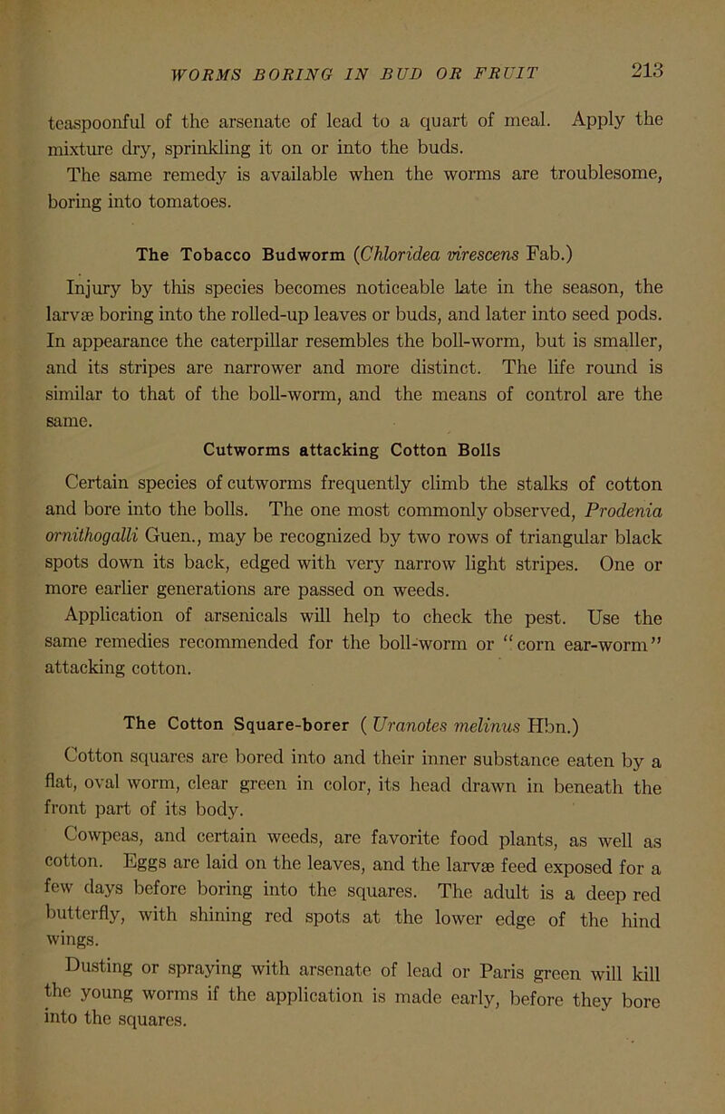 tcaspoonful of the arsenate of lead to a quart of meal. Apply the mixture dry, sprinkling it on or into the buds. The same remedy is available when the worms are troublesome, boring into tomatoes. The Tobacco Budworm (Chloridea virescens Fab.) Injury by this species becomes noticeable Late in the season, the larvae boring into the rolled-up leaves or buds, and later into seed pods. In appearance the caterpillar resembles the boll-worm, but is smaller, and its stripes are narrower and more distinct. The life round is similar to that of the boll-worm, and the means of control are the same. Cutworms attacking Cotton Bolls Certain species of cutworms frequently climb the stalks of cotton and bore into the bolls. The one most commonly observed, Prodenia ornithogcilli Guen., may be recognized by two rows of triangular black spots down its back, edged with very narrow light stripes. One or more earlier generations are passed on weeds. Application of arsenicals will help to check the pest. Use the same remedies recommended for the boll-worm or “corn ear-worm” attacking cotton. The Cotton Square-borer ( Uranotes melinus Hbn.) Cotton squares are bored into and their inner substance eaten by a flat, oval worm, clear green in color, its head drawn in beneath the front part of its body. Cowpeas, and certain weeds, are favorite food plants, as well as cotton. Eggs are laid on the leaves, and the larvse feed exposed for a few days before boring into the squares. The adult is a deep red butterfly, with shining red spots at the lower edge of the hind wings. Dusting or spraying with arsenate of lead or Paris green will kill the young worms if the application is made early, before they bore into the squares.