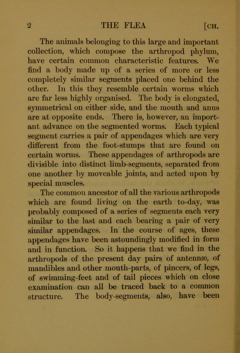 The animals belonging to this large and important collection, which compose the arthropod phylum, have certain common characteristic features. We find a body made up of a series of more or less completely similar segments placed one behind the other. In this they resemble certain worms which are far less highly organised. The body is elongated, symmetrical on either side, and the mouth and anus are at opposite ends. There is, however, an import- ant advance on the segmented worms. Each typical segment carries a pair of appendages which are very difterent from the foot-stumps that are found on certain worms. These appendages of arthropods are divisible into distinct limb-segments, separated from one another by moveable joints, and acted upon by special muscles. The common ancestor of all the various arthropods which are found living on the earth to-day, was probably composed of a series of segments each very similar to the last and each bearing a pair of very similar appendages. In the course of ages, these appendages have been astoundingly modified in form and in function. So it happens that we find in the arthropods of the present day pairs of anteiinre, of mandibles and other mouth-parts, of pincers, of legs, of swimming-feet and of tail pieces which on close examination can all be traced back to a common structure. The body-segments, also, have been