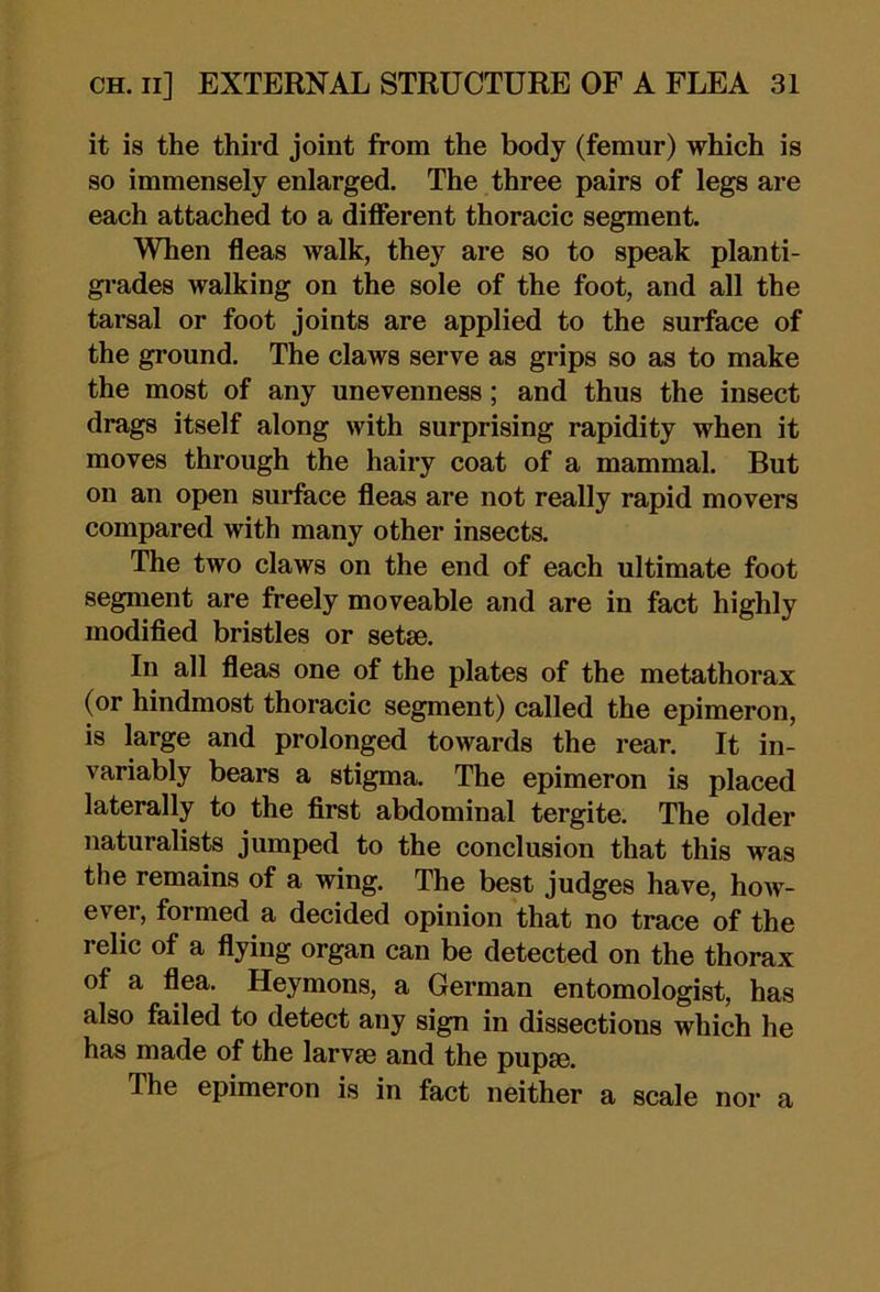 it is the third joint from the body (femur) which is so immensely enlarged. The three pairs of legs are each attached to a different thoracic segment. When fleas walk, they are so to speak planti- grades walking on the sole of the foot, and all the tarsal or foot joints are applied to the surface of the ground. The claws serve as grips so as to make the most of any unevenness; and thus the insect drags itself along with surprising rapidity when it moves through the hairy coat of a mammal. But on an open surface fleas are not really rapid movers compared with many other insects. The two claws on the end of each ultimate foot segment are freely moveable and are in fact highly modified bristles or setae. In all fleas one of the plates of the metathorax (or hindmost thoracic segment) called the epimeron, is large and prolonged towards the rear. It in- variably bears a stigma. The epimeron is placed laterally to the first abdominal tergite. The older naturalists jumped to the conclusion that this was the remains of a wing. The best judges have, how- ever, formed a decided opinion that no trace of the relic of a flying organ can be detected on the thorax of a flea. Heymons, a German entomologist, has also failed to detect any sign in dissections which he has made of the larvae and the pupae. The epimeron is in fact neither a scale nor a