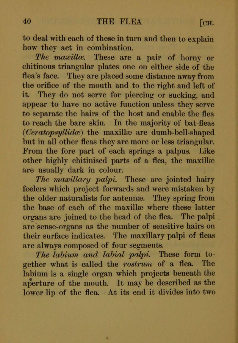 to deal with each of these in turn and then to explain how they act in combination. TJie mcLOiiUce. These are a pair of horny or chitinous triangular plates one on either side of the flea’s face. They are placed some distance away from the orifice of the mouth and to the right and left of it. They do not serve for piercing or sucking, and appear to have no active function unless they serve to separate the hairs of the host and enable the flea to reach the bare skin. In the majority of bat-fleas {Ceratopsyllidce) the maxillse are dumb-bell-shaped but in all other fleas they are more or less triangular. From the fore part of each springs a palpus. Like other highly chitinised parts of a flea, the maxillse are usually dark in colour. The maxillary <palpi. These are jointed hairy feelers which project forwards and were mistaken by the older naturalists for antennse. They spring from the base of each of the maxillm where these latter organs are joined to the head of the flea. The palpi are sense-organs as the number of sensitive hail’s on their surface indicates. The maxillary palpi of fleas are always composed of four segments. The labium and labial palpi. These form to- gether what is called the rostrum of a flea. The labium is a single organ which projects beneath the aperture of the mouth. It may be described sis the lower lip of the flea. At its end it divides into two
