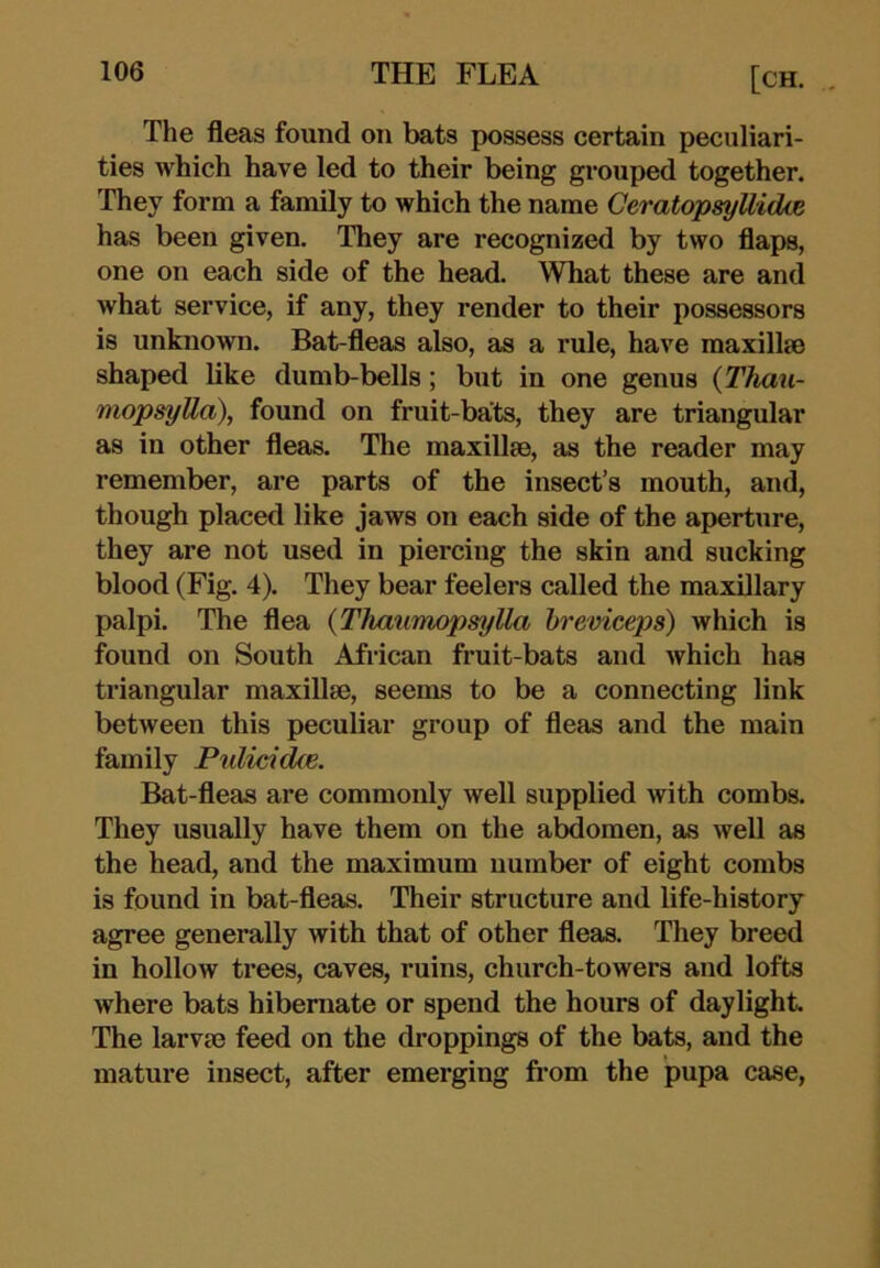 [CH. . The fleas found on bats possess certain peculiari- ties which have led to their being grouped together. They form a family to which the name CeratopsyUidce has been given. They are recognized by two flaps, one on each side of the head. What these are and what service, if any, they render to their possessors is unknown. Bat-fleas also, as a rule, have maxillm shaped like dumb-bells; but in one genus (Thau- mopsyUa), found on fruit-bats, they are triangular as in other fleas. The maxillae, as the reader may remember, are parts of the insect’s mouth, and, though placed like jaws on each side of the aperture, they are not used in piercing the skin and sucking blood (Fig. 4). They bear feelers called the maxillary palpi. The flea {Thaumopsylla hreviceps) which is found on South African fruit-bats and which has triangular maxillae, seems to be a connecting link between this peculiar group of fleas and the main family Pulicidce. Bat-fleas are commonly well supplied with combs. They usually have them on the abdomen, as well as the head, and the maximum number of eight combs is found in bat-fleas. Their structure and life-history agree generally with that of other fleas. They breed in hollow trees, caves, ruins, church-towers and lofts where bats hibernate or spend the hours of daylight The larvee feed on the droppings of the bats, and the mature insect, after emerging from the pupa case,