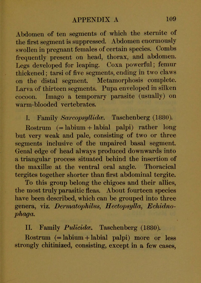 Abdomen of ten segments of which the sternite of the first segment is suppressed. Abdomen enormously swollen in pregnant females of certain species. Combs frequently present on head, thorax, and abdomen. Legs developed for leaping. Coxa powerful; femur thickened; tarsi of five segments, ending in two claws on the distal segment. Metamorphosis complete. Larva of thirteen segments. Pupa enveloped in silken cocoon. Imago a temporary parasite (usually) on warm-blooded vertebrates. I. Family Sarcopsyllidce. Taschenberg (1880). Rostrum (= labium + labial palpi) rather long but very weak and pale, consisting of two or three segments inclusive of the unpaired basal segment. Genal edge of head always produced downwards into a triangular process situated behind the insertion of the maxillse at the ventral oral angle. Thoracical tergites together shorter than first abdominal tergite. To this group belong the chigoes and their allies, the most truly parasitic fleas. About fourteen species have been described, which can be grouped into three genera, viz. Dermatophilm, Hectopsylla, Echidno- phaga. II. Family PuUddce. Taschenberg (1880). Rostrum (= labium + labial palpi) more or less strongly chitinized, consisting, except in a few cases,