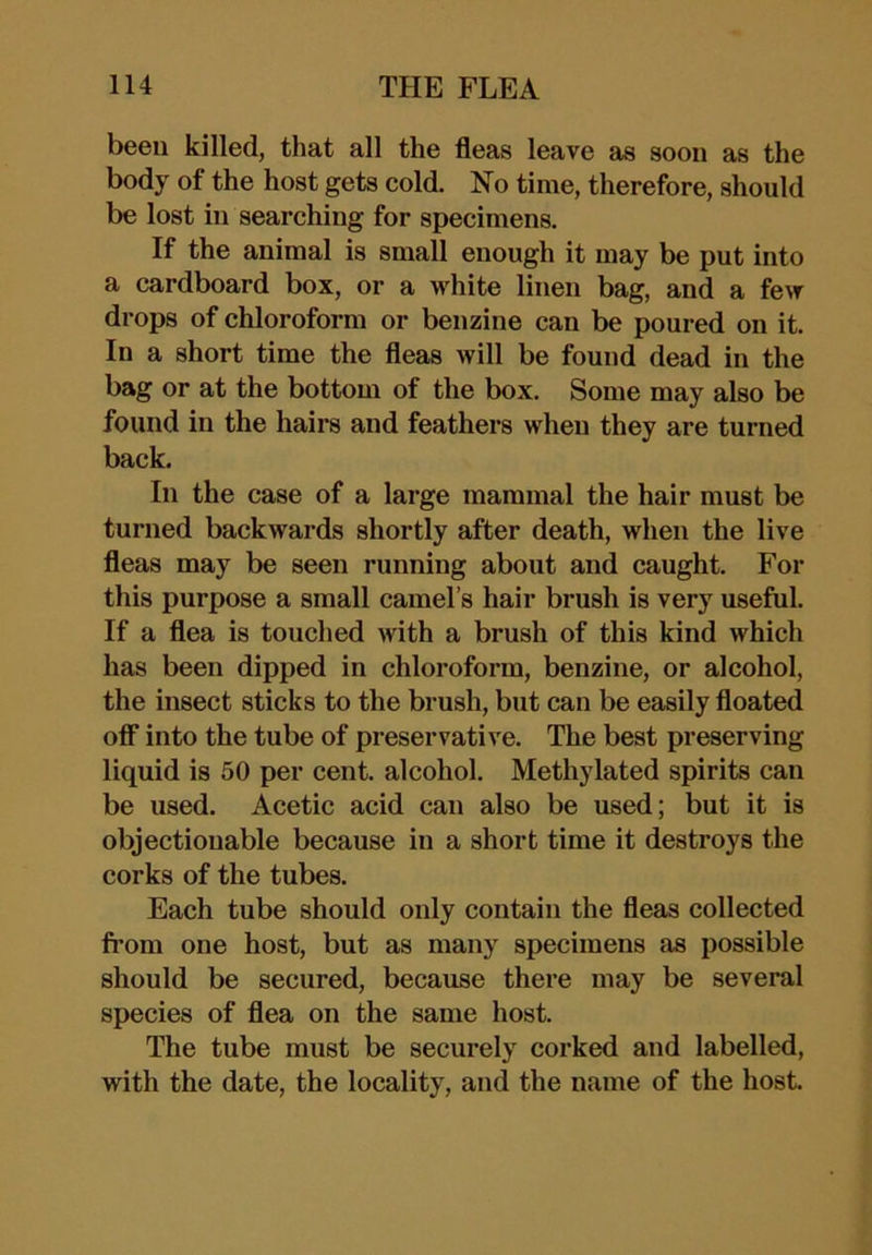 been killed, that all the fleas leave as soon as the body of the host gets cold. No time, therefore, should be lost in searching for specimens. If the animal is small enough it may be put into a cardboard box, or a white linen bag, and a few drops of chloroform or benzine can be poured on it. In a short time the fleas will be found dead in the bag or at the bottom of the box. Some may also be found in the hairs and feathers when they are turned back. In the case of a large mammal the hair must be turned backwards shortly after death, when the live fleas may be seen running about and caught. For this purpose a small camel’s hair brush is very useful. If a flea is touched with a brush of this kind which has been dipped in chloroform, benzine, or alcohol, the insect sticks to the brush, but can be easily floated off* into the tube of preservative. The best preserving liquid is 50 per cent, alcohol. Methylated spirits can be used. Acetic acid can also be used; but it is objectionable because in a short time it destroys the corks of the tubes. Each tube should only contain the fleas collected from one host, but as many specimens as possible should be secured, because there may be several species of flea on the same host. The tube must be securely corked and labelled, with the date, the locality, and the name of the host.