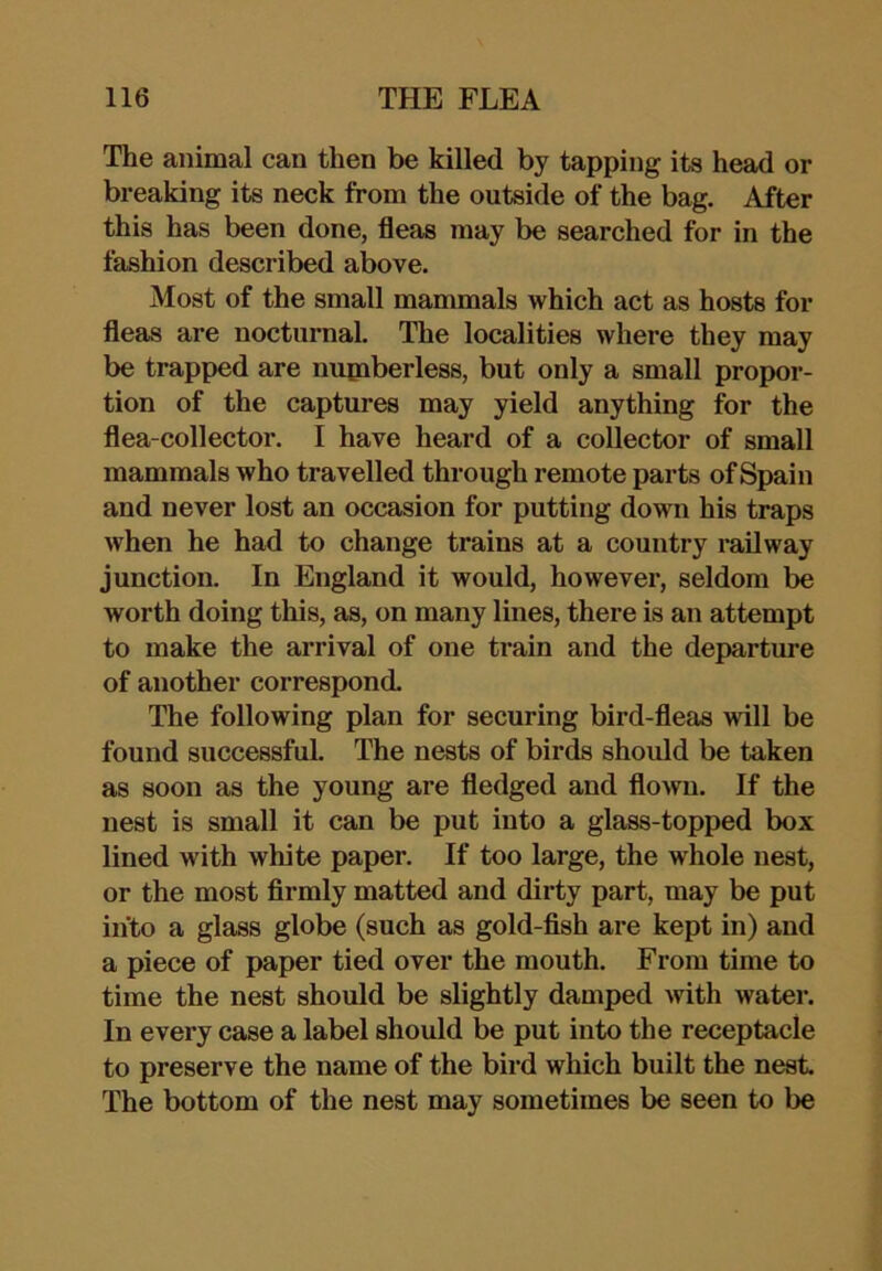 The animal can then be killed by tapping its head or breaking its neck from the outside of the bag. After this has been done, fleas may be searched for in the fashion described above. Most of the small mammals which act as hosts for fleas are nocturnal. The localities where they may be trapped are nupiberless, but only a small propor- tion of the captures may yield anything for the flea-collector. I have heard of a collector of small mammals who travelled through remote parts of Spain and never lost an occasion for putting down his traps when he had to change trains at a country railway junction. In England it would, however, seldom be worth doing this, as, on many lines, there is an attempt to make the arrival of one train and the departure of another correspond. The following plan for securing bird-fleas will be found successful. The nests of birds should be taken as soon as the young are fledged and flown. If the nest is small it can be put into a glass-topped box lined with white paper. If too large, the whole nest, or the most firmly matted and dirty part, may be put into a glass globe (such as gold-fish are kept in) and a piece of paper tied over the mouth. From time to time the nest should be slightly damped Avith water. In every case a label should be put into the receptacle to preserve the name of the bird which built the nest The bottom of the nest may sometimes be seen to be
