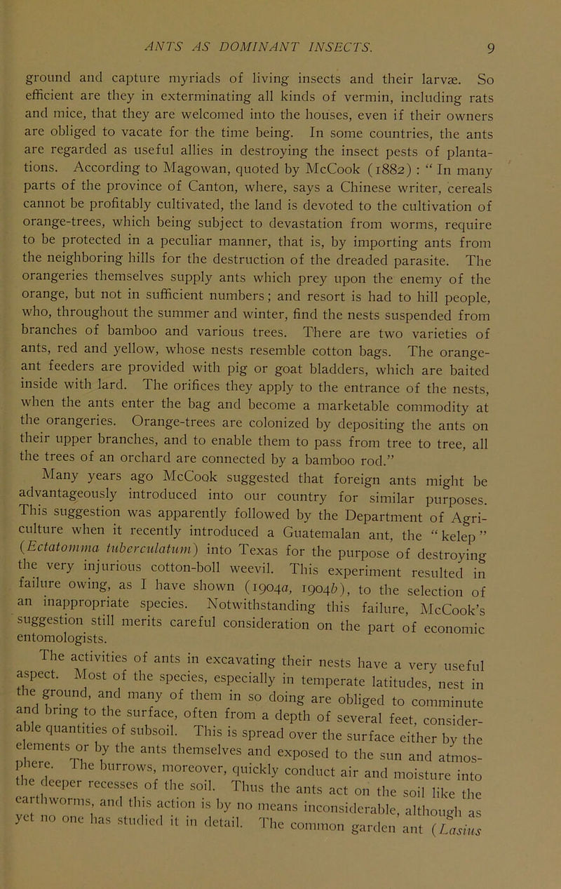 ground and capture myriads of living insects and their larvae. So efficient are they in exterminating all kinds of vermin, including rats and mice, that they are welcomed into the houses, even if their owners are obliged to vacate for the time being. In some countries, the ants are regarded as useful allies in destroying the insect pests of planta- tions. According to Magowan, quoted by McCook (1882) : “ In many parts of the province of Canton, where, says a Chinese writer, cereals cannot be profitably cultivated, the land is devoted to the cultivation of orange-trees, which being subject to devastation from worms, require to be protected in a peculiar manner, that is, by importing ants from the neighboring hills for the destruction of the dreaded parasite. The orangeries themselves supply ants which prey upon the enemy of the orange, but not in sufficient numbers; and resort is had to hill people, who, throughout the summer and winter, find the nests suspended from branches of bamboo and various trees. There are two varieties of ants, red and yellow, whose nests resemble cotton bags. The orange- ant feeders are provided with pig or goat bladders, which are baited inside with lard. The orifices they apply to the entrance of the nests, when the ants enter the bag and become a marketable commodity at the orangeries. Orange-trees are colonized by depositing the ants on their upper branches, and to enable them to pass from tree to tree, all the trees of an orchard are connected by a bamboo rod.” Many years ago McCook suggested that foreign ants might be advantageously introduced into our country for similar purposes. This suggestion was apparently followed by the Department of Agri- culture when it recently introduced a Guatemalan ant, the “ kelep ” {Ectatomma tuberculatum) into Texas for the purpose of destroying the very injurious cotton-boll weevil. This experiment resulted in failure owing, as I have shown (1904a, 1904&), to the selection of an inappropriate species. Notwithstanding this failure, McCook’s suggestion still merits careful consideration on the part of economic entomologists. The activities of ants in excavating their nests have a very useful aspect. Most of the species, especially in temperate latitudes, nest in the ground, and many of them in so doing are obliged to comminute and bring to the surface, often from a depth of several feet, consider- aile quantities of subsoil. This is spread over the surface either by the uh^e'‘%T 7 to the sun and atLs- here. The burrows, moreover, quickly conduct air and moisture into the deeper recesses of the soil. Thus the ants act on the soil like the ar iwornis. and this action is by no means inconsiderable, although as yet no one has stiulicd it in detail. The common garden ant {lLus