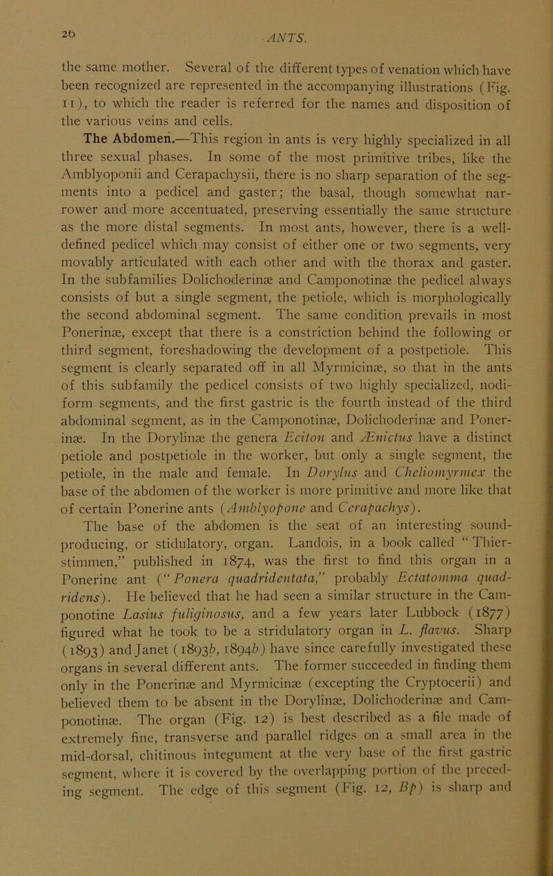 2b the same mother. Several of the different types of venation which have been recognized are represented in the accompanying illustrations (Fig. ii), to which the reader is referred for the names and disposition of the various veins and cells. The Abdomen.—This region in ants is very highly specialized in all three sexual phases. In some of the most primitive tribes, like the Amblyoponii and Cerapachysii, there is no sharp separation of the seg- ments into a pedicel and gaster; the basal, though somewhat nar- rower and more accentuated, preserving essentially the same structure as the more distal segments. In most ants, however, there is a well- defined pedicel which may consist of either one or two segments, very movably articulated with each other and with the thorax and gaster. In the subfamilies Dolichoderinse and Camponotinae the pedicel always consists of but a single segment, the petiole, which is morphologically the second abdominal segment. The same condition, prevails in most Ponerinse, except that there is a constriction behind the following or third segment, foreshadowing the development of a postpetiole. This segment is clearly separated off in all Myrmicinse, so that in the ants of this subfamily the pedicel consists of two highly specialized, nodi- form segments, and the first gastric is the fourth instead of the third abdominal segment, as in the Camponotinse, Dolichoderinae and Poner- inae. In the Dorylinae the genera Eciton and .Mnictns have a distinct petiole and postpetiole in the worker, but only a single segment, the petiole, in the male and female. In Doryhis and CheUomyrmcx the base of the abdomen of the worker is more primitive and more like that of certain Ponerine ants ( Ainblyopone and Ccrapachys). The base of the abdomen is the seat of an interesting sound- producing, or stidulatory, organ. Landois, in a book called “ Thier- stimmen,” published in 1874, was the first to find this organ in a Ponerine ant {“ Ponera quadridentata,” probably Ectatomma qiiad- ridens). He believed that he had seen a similar structure in the Cam- ponotine Lasiiis fuliginosus, and a few years later Lubbock (1877) figured what he took to be a stridulatory organ in L. flavus. Sharp (1893) and Janet (1893&, 1894&) have since carefully investigated these organs in several different ants. The former succeeded in finding them only in the Ponerinje and Myrmicinse (excepting the Cryptoccrii) and believed them to be absent in the Dorylins, Dolichoderinas and Cam- ponotinje. The organ (Fig. 12) is best described as a file made of extremely fine, transverse and parallel ridges on a small area in the mid-dorsal, chitinous integument at the very base of the first gastric segment, where it is covered by the overlapping portion of the preced- ing segment. The edge of this segment (big- 12, Bp) is sharp and