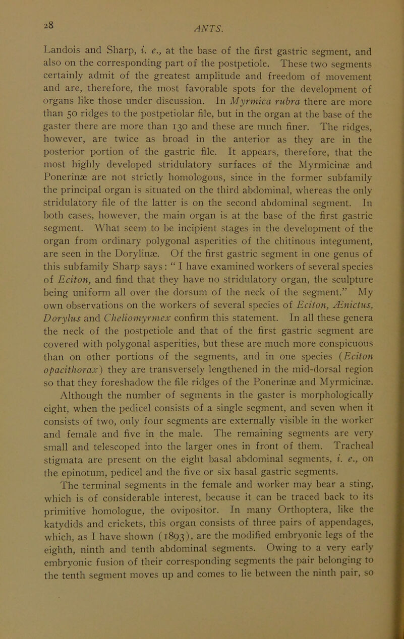 ANTS. Landois and Sharp, i. e., at the base of the first gastric segment, and also on the corresponding part of the postpetiole. These two segments certainly admit of the greatest amplitude and freedom of movement and are, therefore, the most favorable spots for the development of organs like those under discussion. In Myrmica rubra there are more than 50 ridges to the postpetiolar file, but in the organ at the base of the gaster there are more than 130 and these are much finer. The ridges, however, are twice as broad in the anterior as they are in the posterior portion of the gastric file. It appears, therefore, that the most highly developed stridulatory surfaces of the Myrmicinse and Ponerinae are not strictly homologous, since in the former subfamily the principal organ is situated on the third abdominal, whereas the only stridulatory file of the latter is on the second abdominal segment. In both cases, however, the main organ is at the base of the first gastric segment. What seem to be incipient stages in the development of the organ from ordinary polygonal asperities of the chitinous integument, are seen in the Dorylinae. Of the first gastric segment in one genus of this subfamily Sharp says: “ I have examined workers of several species of Eciton, and find that they have no stridulatory organ, the sculpture being uniform all over the dorsum of the neck of the segment.” My own observations on the workers of several species of Eciton, Mnictus, Dorylus and Cheliomyrmex confirm this statement. In all these genera the neck of the postpetiole and that of the first gastric segment are covered with polygonal asperities, but these are much more conspicuous than on other portions of the segments, and in one species (Eciton opacithorax) they are transversely lengthened in the mid-dorsal region so that they foreshadow the file ridges of the Ponerinae and Myrmicinae. Although the number of segments in the gaster is morphologically eight, when the pedicel consists of a single segment, and seven when it consists of two, only four segments are externally visible in the worker and female and five in the male. The remaining segments are very small and telescoped into the larger ones in front of them. Tracheal stigmata are present on the eight basal abdominal segments, 1. c., on the epinotum, pedicel and the five or six basal gastric segments. The terminal segments in the female and worker may bear a sting, which is of considerable interest, because it can be traced hack to its primitive homologue, the ovipositor. In many Orthoptera, like the katydids and crickets, this organ consists of three pairs of appendages, which, as I have shown (1893), are the modified embryonic legs of the eighth, ninth and tenth abdominal segments. Owing to a very early embryonic fusion of their corresponding segments the pair belonging to the tenth segment moves up and comes to lie between the ninth pair, so