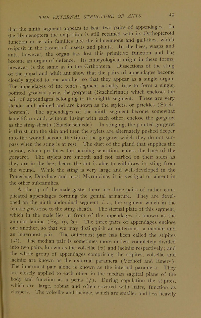 that the ninth segment appears to bear two pairs of appendages. In the liymenoptera the ovipositor is still retained with its Orthopteroid function in certain families like the ichneumons and gall-flies, which oviposit in the tissues of insects and plants. In the bees, wasps and ants, however, the organ has lost this primitive function and ha§ become an organ of defence. Its embryological origin in these forms, however, is the same as in the Orthoptera. Dissections of the sting of the pupal and adult ant show that the pairs of appendages become closely applied to one another so that they appear as a single organ. The appendages of the tenth segment actually fuse to form a single, pointed, grooved piece, the gorgeret (Stachelrinne) which encloses the pair of appendages belonging to the eighth segment. These are very slender and pointed and are known as the stylets, or prickles (Stech- borsten). The appendages of the ninth segment become somewhat lamelliform and, without fusing with each other, enclose the gorgeret as the sting-sheath (Stachelschiede). In stinging, the pointed gorgeret is thrust into the skin and then the stylets are alternately pushed deeper into the wound beyond the tip of the gorgeret which they do not sur- pass when the sting is at rest. The duct of the gland that supplies the poison, which produces the burning sensation, enters the base of the gorgeret. The stylets are smooth and not barbed on their sides as they are in the bee; hence the ant is able to withdraw its sting from the wound. While the sting is very large and well-developed in the Ponerinae, Dorylinse and most Myrmicinae, it is vestigial or absent in the other subfamilies. At the tip of the male gaster there are three pairs of rather com- plicated appendages forming the genital armature. They are devel- oped on the ninth abdominal segment, i. c., the segment which in the female gives rise to the sting sheath. The sternal plate of this segment, which in the male lies in front of the appendages, is known as the annular lamina (Fig. 19, la). The three pairs of appendages enclose one another, so that we may distinguish an outermost, a median and an innermost pair. The outermost pair has been called the stipites {st). The median pair is sometimes more or less completely divided into two pairs, known as the volsellse (^/) and laciniae respectively; and the whole group of appendages comprising the stipites, volsellae and laciniae are known as the external paramera (Verhoff and Emery). The innermost pair alone is known as the internal paramera. They are closely applied to each other in the median sagittal plane of the body and function as a ])enis (/>). During copulation the stipites, which are large, robust and often covered with hairs, function as claspers. The volsollce and laciniie, which are smaller and less heavily