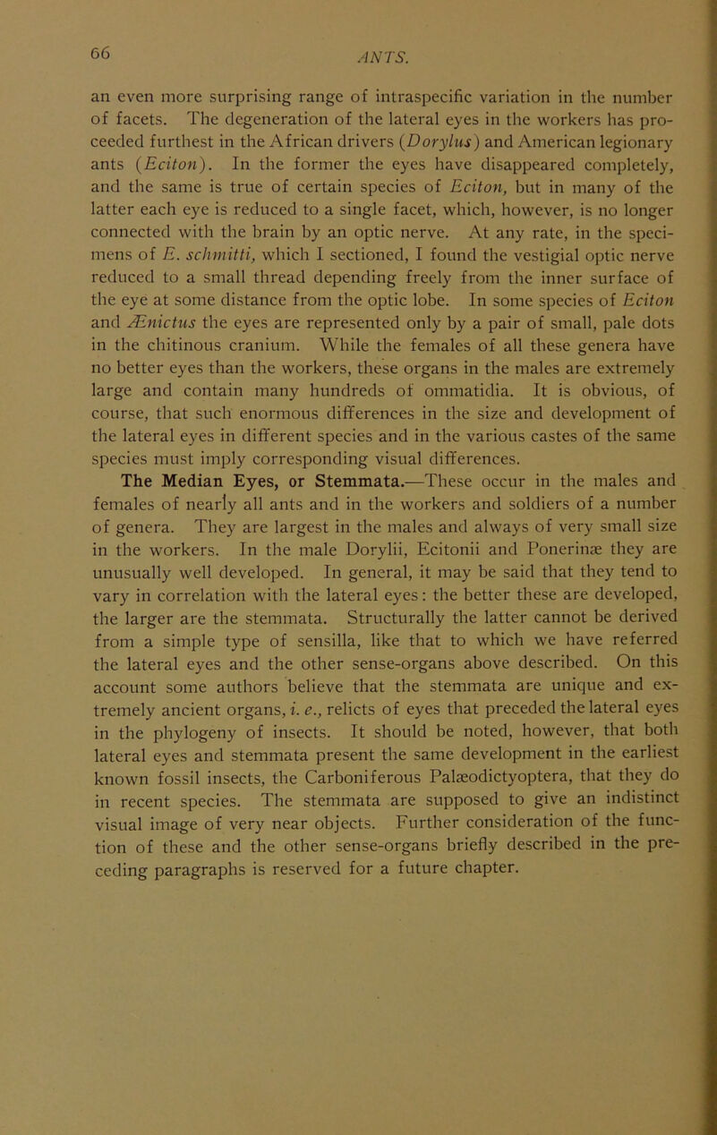 an even more surprising range of intraspecific variation in the number of facets. The degeneration of the lateral eyes in the workers has pro- ceeded furthest in the African drivers (Doryius) and American legionary ants (Eciton). In the former the eyes have disappeared completely, and the same is true of certain species of Eciton, but in many of the latter each eye is reduced to a single facet, which, however, is no longer connected with the brain by an optic nerve. At any rate, in the speci- mens oi E. schmitti, which I sectioned, I found the vestigial optic nerve reduced to a small thread depending freely from the inner surface of the eye at some distance from the optic lobe. In some species of Eciton and .^nictus the eyes are represented only by a pair of small, pale dots in the chitinous cranium. While the females of all these genera have no better eyes than the workers, these organs in the males are extremely large and contain many hundreds of ommatidia. It is obvious, of course, that such enormous differences in the size and development of the lateral eyes in different species and in the various castes of the same species must imply corresponding visual differences. The Median Eyes, or Stemmata.—These occur in the males and females of nearly all ants and in the workers and soldiers of a number of genera. They are largest in the males and always of very small size in the workers. In the male Dorylii, Ecitonii and Ponerinae they are unusually well developed. In general, it may be said that they tend to vary in correlation with the lateral eyes: the better these are developed, the larger are the stemmata. Structurally the latter cannot be derived from a simple type of sensilla, like that to which we have referred the lateral eyes and the other sense-organs above described. On this account some authors believe that the stemmata are unique and ex- tremely ancient organs, i. e., relicts of eyes that preceded the lateral eyes in the phylogeny of insects. It should be noted, however, that both lateral eyes and stemmata present the same development in the earliest known fossil insects, the Carboniferous Palaeodictyoptera, that they do in recent species. The stemmata are supposed to give an indistinct visual image of very near objects. Further consideration of the func- tion of these and the other sense-organs briefly described in the pre- ceding paragraphs is reserved for a future chapter.