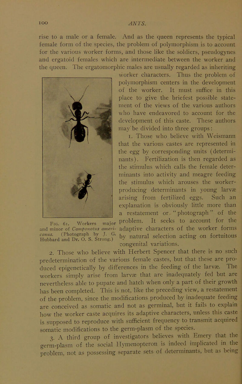 lOO AN'rS. rise to a male or a female. And as the queen represents the typical female form of the species, the problem of polymorphism is to account for the various worker forms, and those like the soldiers, pseudogynes and ergatoid females which are intermediate between the worker and the queen. The ergatomorphic males are usually regarded as inheriting worker characters. Thus the problem of polymorphism centers in the development of the worker. It must suffice in this place to give the briefest possible state- ment of the views of the various authors who have endeavored to account for the development of this caste. These authors may'be divided into three groups: I. Those who believe with Weismann that the various castes are represented in the egg by corresponding units (determi- nants). Fertilization is then regarded as the stimulus which calls the female deter- minants into activity and meagre feeding the stimulus which arouses the worker- ])roducing determinants in young larvae arising from fertilized eggs. Such an explanation is obviously little more than a restatement or-“ photograph ” of the Fig. 6.. Workers n^ajor Problem. It seeks to account for the and minor of Camponoius ameri- adaptive characters of the worker forms by natural selection acting on fortuitous congenital variations. 2. Those who believe with Herbert Spencer that there is no such predetermination of the various female castes, but that these are pro- duced epigenetically by differences in the feeding of the larvae. The workers simply arise from larvae that are inadequately fed but are nevertheless able to pupate and hatch when only a part of their growth has been completed. This is not, like the preceding view, a restatement of the problem, since the modifications produced by inadequate feeding are conceived as somatic and not as germinal, but it fails to explain how the worker caste acquires its adaptive characters, unless this caste canus. (Photograph by J. G. Hubbard and Dr. O. S. Strong.) is supposed to reproduce with sufficient frequency to transmit acquired somatic modifications to the germ-plasm of the species. 3. A third group of investigators believes with Emery that the germ-plasm of the social Ilymenopteron is indeed implicated in the problem, not as possessing separate sets of determinants, but as being