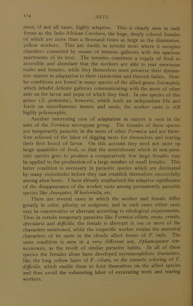 most, if not all cases, highly adaptive. Ihis is clearly seen in such forms as the Indo-African Carcbara, the huge, deeply colored females of which are more than a thousand times as large as the diminutive, yellow workers. This ant dwells in termite nests where it occupies chambers connected by means of tenuous galleries with the spacious apartments of its host. The termites constitute a supply of food so accessible and abundant that the workers are able to rear enormous males and females, while they themselves must preserve their diminu- tive stature in adaptation to their clandestine and thievish habits. Simi- lar conditions are found in many species of the allied genus Solcnopsis, which inhabit delicate galleries communicating with the nests of other ants on the larvae and pupae of which they feed. In one species of this genus {S. geniinata), however, which leads an independent life and feeds on miscellaneous insects and seeds, the worker caste is still highly polymorphic. Another interesting case of adaptation in stature is seen in the ants of the Formica microgyna group. The females of these species are temporarily parasitic in the nests of other Forniicce and are there- fore relieved of the labor of digging nests for themselves and rearing their first brood of larvae. On this account they need not store up large quantities of food, so that the nourishment which in non-para- sitic species goes to produce a comparatively few large females may be applied to the production of a large number of small females. This latter condition is necessary in parasitic species which are decimated by many vicissitudes before they can establish themselves successfully among alien hosts. I have already emphasized the adaptive significance of the disappearance of the worker caste among permanently parasitic species like Anergates, Wheeleriella, etc. There are several cases in which the worker and female differ greatly in color, pilosity or sculpture, and in such cases either caste may be conservative or aberrant according to ethological requirements. Thus in certain temporary parasites like Formica ciliata, areas, crinita, specularis and difficilis, the female is aberrant in one or more of the characters mentioned, while the cospecific worker retains the ancestral characters of its caste in the closely allied forms of F. rufa. The same condition is seen in a very different ant, Aphcenogaster ten- nesseensis, as the result of similar parasitic habits. In all of these species the females alone have developed myrmecophilous characters, like the long yellow hairs of F. cihata, or the mimetic coloring of F. difficilis, which enable them to foist themselves on the allied species and thus avoid the exhausting labor of excavating nests and rearing workers.