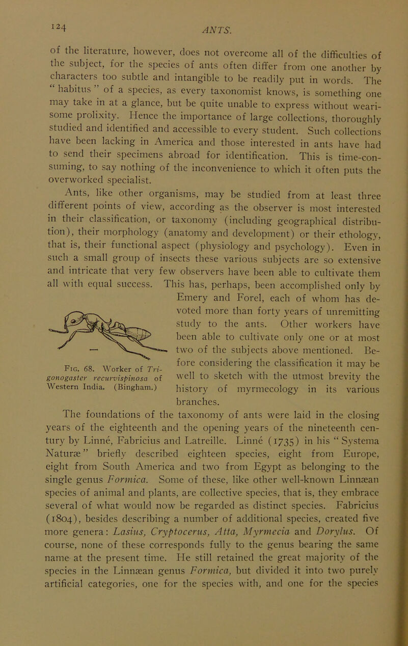 of the literature, liowever, does not overcome all of the difficulties of the subject, foi the species of ants often differ from one another by characters too subtle and intangible to be readily put in words. The habitus of a species, as every taxonomist knows, is something one may take in at a glance, but be quite unable to express without weari- some prolixity. Hence the importance of large collections, thoroughly studied and identified and accessible to every student. Such collections have been lacking in America and those interested in ants have had to send their specimens abroad for identification. This is time-con- suming, to say nothing of the inconvenience to which it often puts the overworked specialist. Ants, like other organisms, may be studied from at least three different points of view, according as the observer is most interested in their classification, or taxonomy (including geographical distribu- tion), their morphology (anatomy and development) or their ethology, that is, their functional aspect (physiology and psychology). Even in such a small group of insects these various subjects are so extensive and intricate that very few observers have been able to cultivate them all with equal success. This has, perhaps, been accomplished only by Emery and Forel, each of whom has de- voted more than forty years of unremitting study to the ants. Other workers have been able to cultivate only one or at most two of the subjects above mentioned. Be- „ , r -r- . considering the classification it may be JHig. 68. Worker of Tn- i 1 • 1 , gonogaster recurvispinosa of ^^11 to sketch With the Utmost brevity the Western India. (Bingham.) history of myrmecology in its various branches. The foundations of the taxonomy of ants were laid in the closing years of the eighteenth and the opening years of the nineteenth cen- tury by Linne, Eabricius and Latreille. Linne (1735) in his “ Systema Naturie ” briefly described eighteen species, eight from Europe, eight from South America and two from Egypt as belonging to the single genus Formica. Some of these, like other well-known Linnasan species of animal and plants, are collective species, that is, they embrace several of what would now be regarded as distinct species. Eabricius (1804), besides describing a number of additional species, created five more genera: Lasius, Cryptoceriis, Atta, Myrmecia and Dorylus. Of course, none of these corresponds fully to the genus bearing the same name at the present time. He still retained the great majority of the species in the Linnasan genus Formica, but divided it into two purely artificial categories, one for the species with, and one for the species