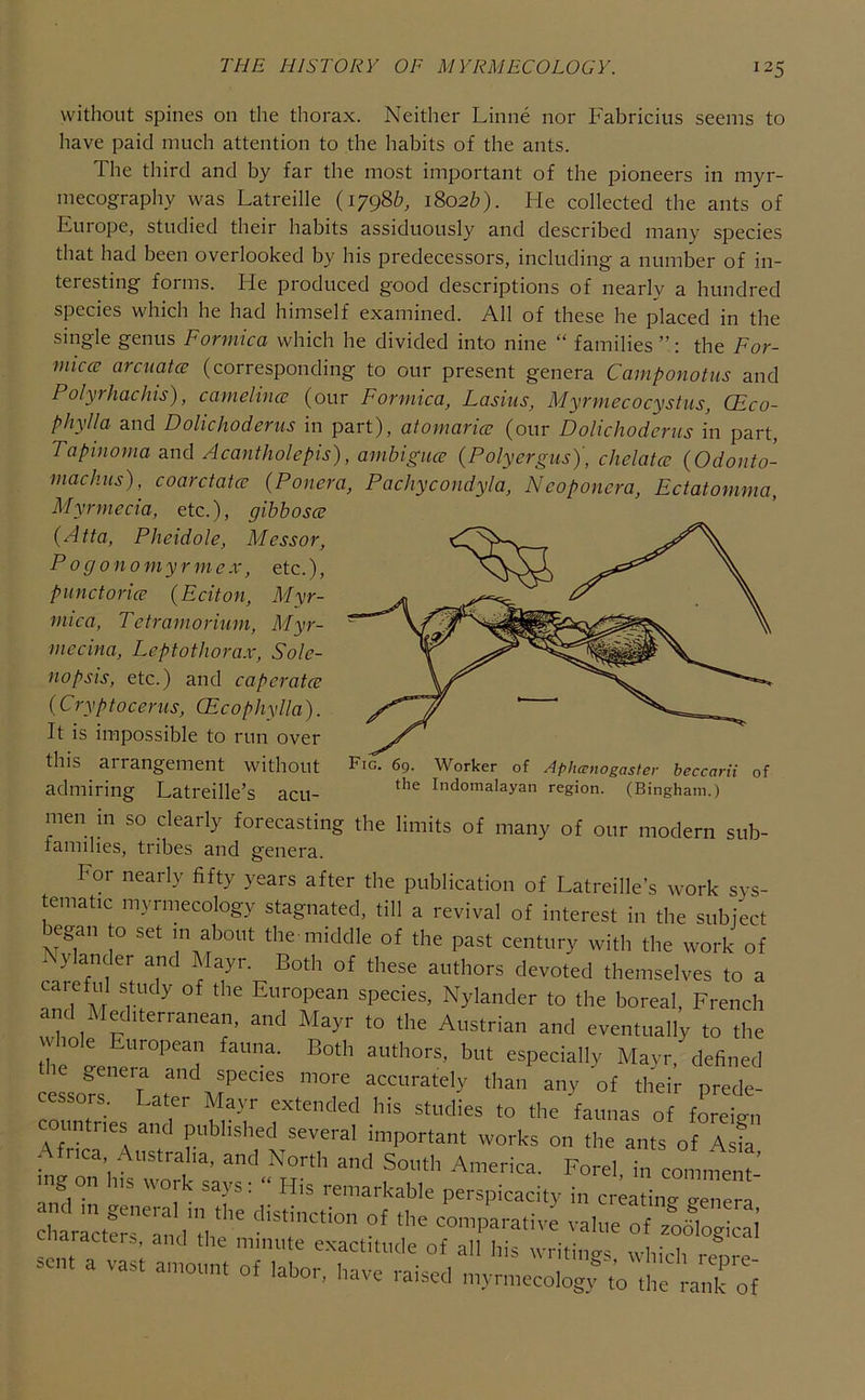 without spines on the thorax. Neither Linne nor Fabricius seems to have paid much attention to the habits of the ants. The third and by far the most important of the pioneers in myr- mecography was Latreille {i7gd>b, 1802&). Fie collected the ants of Kurope, studied their habits assiduously and described many species that had been overlooked by his predecessors, including a number of in- teresting forms. He produced good descriptions of nearly a hundred species which he had himself examined. All of these he placed in the single genus Formica which he divided into nine “ families ”: the For- Fig. 69. Worker of Aplucnogasler beccarii of the Indomalayan region. (Bingham.) micce arcuatcc (corresponding to our present genera Camponotus and Polyrhachis), camelince (our Formica, Lasius, Myrmecocystus, CEco- phylla and Dolichoderus in part), atomarice (our Dolichodcrus in part, Tapinoma and Acantholepis), ambigiice (Polyergus)', chelatcc (Odonto- machiis), coarctata; (Ponera, Pachycondyla, Ncoponcra, Ectatomma, Myrmecia, etc.), gibbosce (Atta, Pheidole, Messor, Pogonomyrmex, etc.), punctoricE (Eciton, Myr- mica, Tetramorium, Myr- mecina, Leptothorax, Sole- 110 psis, etc.) and caperatce (Cryptocerus, Ecophylla). It is impossible to run over this arrangement without admiring Latreille’s acu- men in so clearly forecasting the limits of many of our modern sub- families, tribes and genera. For nearly fifty years after the publication of Latreille's work sys- tematic myrmecology stagnated, till a revival of interest in the subject ^egan to set ^ about the middle of the past century with the work of Nylander and Mayr. Both of these authors devoted themselves to a ?nd M European species, Nylander to the boreal, French ami Mediterranean, and Mayr to the Austrian and eventually to the e European fauna. Both authors, but especially Mayr, defined le genera and species more accurately than any of their prede- cessors. Later Mayr extended his studies to the faunas of foreiti countries and published several important works on the ants of Asta Africa Australia, and North and South America. Ford, in comment- nig on his work says: “ His remarkable perspicacity in creatines o-gnera laractci., and the minute exactitude of all his writings .-hich renrp -nt a vast amount of labor, have raised myrmecolog;L the iVnk o