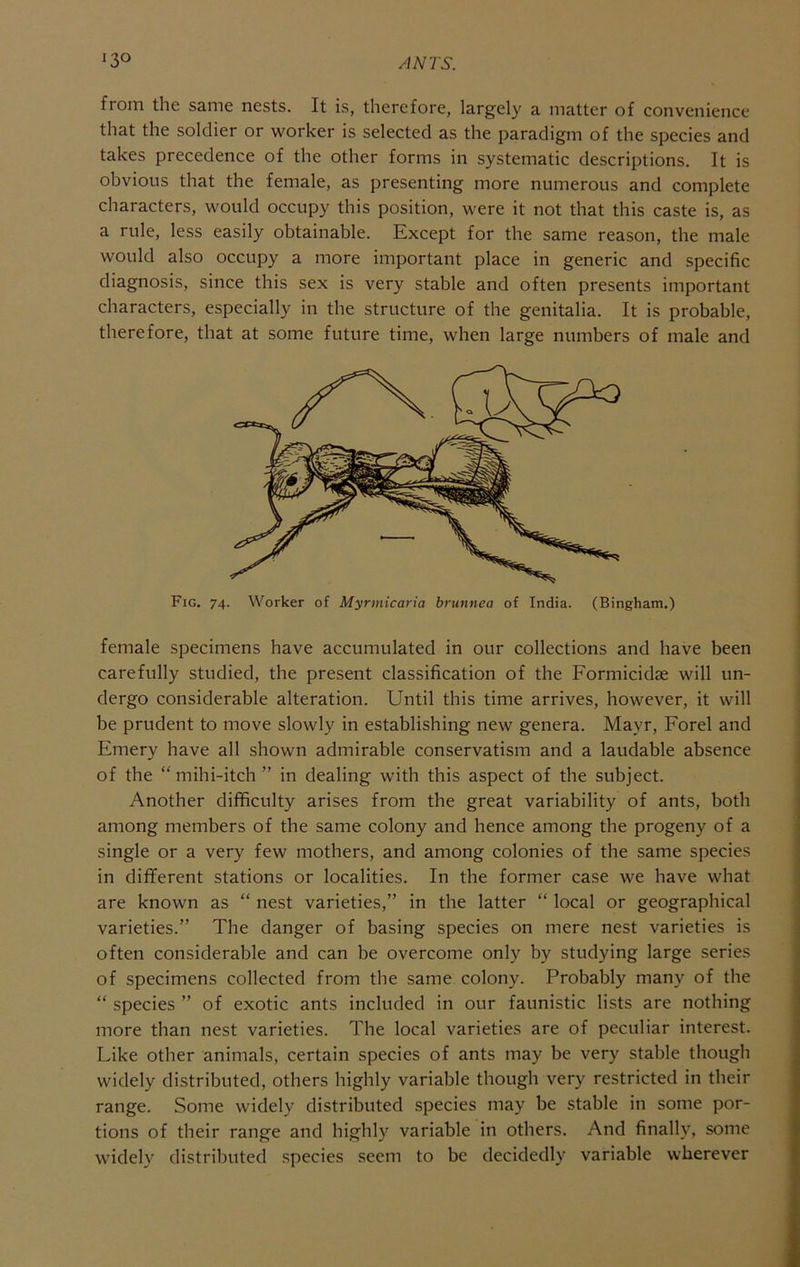 from the same nests. It is, therefore, largely a matter of convenience that the soldier or worker is selected as the paradigm of the species and takes precedence of the other forms in systematic descriptions. It is obvious that the female, as presenting more numerous and complete characters, would occupy this position, were it not that this caste is, as a rule, less easily obtainable. Except for the same reason, the male would also occupy a more important place in generic and specific diagnosis, since this sex is very stable and often presents important characters, especially in the structure of the genitalia. It is probable, therefore, that at some future time, when large numbers of male and Fig. 74. Worker of Myrmicaria brunnea of India. (Bingham.) female specimens have accumulated in our collections and have been carefully studied, the present classification of the Formicidse will un- dergo considerable alteration. Until this time arrives, however, it will be prudent to move slowly in establishing new genera. Mayr, Forel and Emery have all shown admirable conservatism and a laudable absence of the “ mihi-itch ” in dealing with this aspect of the subject. Another difficulty arises from the great variability of ants, both among members of the same colony and hence among the progeny of a single or a very few mothers, and among colonies of the same species in different stations or localities. In the former case we have what are known as “ nest varieties,” in the latter “ local or geographical varieties.” The danger of basing species on mere nest varieties is often considerable and can be overcome only by studying large series of specimens collected from the same colony. Probably many of the “ species ” of exotic ants included in our faunistic lists are nothing more than nest varieties. The local varieties are of peculiar interest. Like other animals, certain species of ants may be very stable though widely distributed, others highly variable though very restricted in their range. Some widely distributed species may be stable in some por- tions of their range and highly variable in others. And finally, some widely distributed species seem to be decidedly variable wherever