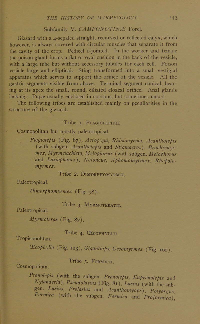 Subfamily V. CAMPO NOTIN Hi Forel. Gizzard with a 4-sepaled straight, recurved or reflected calyx, which however, is always covered with circular muscles that separate it from the cavity of the crop. Pedicel i-jointed. In the worker and female the poison gland forms a flat or oval cushion in the back of the vesicle, with a large tube but without accessory tubules for each cell. Poison vesicle large and elliptical. Sting transformed into a small vestigial apparatus which serves to support the orifice of the vesicle. All the gastric segments visible from above. Terminal segment conical, bear- ing at its apex the small, round, ciliated cloacal orifice. Anal glands lacking.—Pupae usually enclosed in cocoons, but sometimes naked. The following tribes are established mainly on peculiarities in the structure of the gizzard. Tribe i. Plagiolepidii. Cosmopolitan but mostly paleotropical. , Plagiolepis (Fig. 87), Acropyga, Rhizomyrma, Acantholepis (with subgen. Acantholepis and Stigmacros), Bracliymyr- mex, Myrmelachista, Melophorus (with subgen. Melophorns and Lasiophones), Notoncus, Aphomomyrmex, Rhopalo- myrmex. Tribe 2. Dimorphomyrmii. Paleotropical. Dimorphomyrmex (Fig. 98). Tribe 3. Myrmoteratii. Paleotropical. Myrmoteras (Fig. 82). Tribe 4. CEcophyllii. Tropicopolitan. CEcophylla (Fig. 123), Gigantiops, Gesomyrmex (Fig. 100). Tribe 5. Formicii. Cosmopolitan. Prenolepis (with the subgen. Prenolepis, Euprenolepis and Nylandcria),Pseudolasius (Fig. 81), Lasius (with the sub- gen. Lasiiis, Prolasius and Acanthomyops), Polyergus Formica (with the subgen. Formica and Proformica),