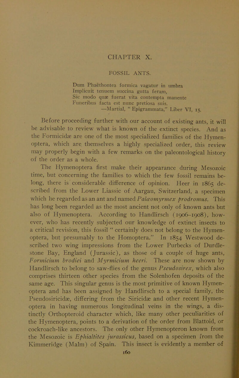 CHAPTER X. FOSSIL ANTS. Dum Phaethontea formica vagatur in umbra Implicuit tenuem succina gutta feram, Sic modo quae fuerat vita contempta manente Funeribus facta est nunc pretiosa suis. —Martial, “ Epigrammata,” Liber VI, 15. Before proceeding further with our account of existing ants, it will be advisable to review what is known of the extinct species. And as the Formicidae are one of the most specialized families of the Hymen- optera, which are themselves a highly specialized order, this review may properly begin with a few remarks on the paleontological history of the order as a whole. The Hymenoptera first make their appearance during Mesozoic time, but concerning the families to which the few fossil remains be- long, there is considerable diflference of opinion. Heer in 1865 de- scribed from the Lower Liassic of Aargau, Switzerland, a specimen which he regarded as an ant and named Palceomyrmex prodromus. This has long been regarded as the most ancient not only of known ants but also of Hymenoptera. According to Handlirsch (1906-1908), how- ever, who has recently subjected our knowledge of extinct insects to a critical revision, this fossil “ certainly does not belong to the Hymen- optera, but presumably to the Homoptera.” In 1854 Westwood de- scribed two wing impressions from the Lower Purbecks of Durdle- stone Bay, England (Jurassic), as those of a couple of huge ants, Formicium brodiei and Myrmicium head. These are now shown by Handlirsch to belong to saw-flies of the genus Pseudosirex, which also comprises thirteen other species from the Solenhofen deposits of the same age. This singular genus is the most primitive of known Hymen- optera and has been assigned by Handlirsch to a special family, the Pseudosiricidse, differing from the Siricidae and other recent Hymen- optera in having numerous longitudinal veins in the wings, a dis- tinctly Orthopteroid character which, like many other peculiarities of the Hymenoptera, points to a derivation of the order from Blattoid, or cockroach-like ancestors. The only other Hymenopteron known from the Mesozoic is Ephialtitcs jurassicns, based on a specimen from the Kimmeridge (Malm) of Spain. This insect is evidently a member of
