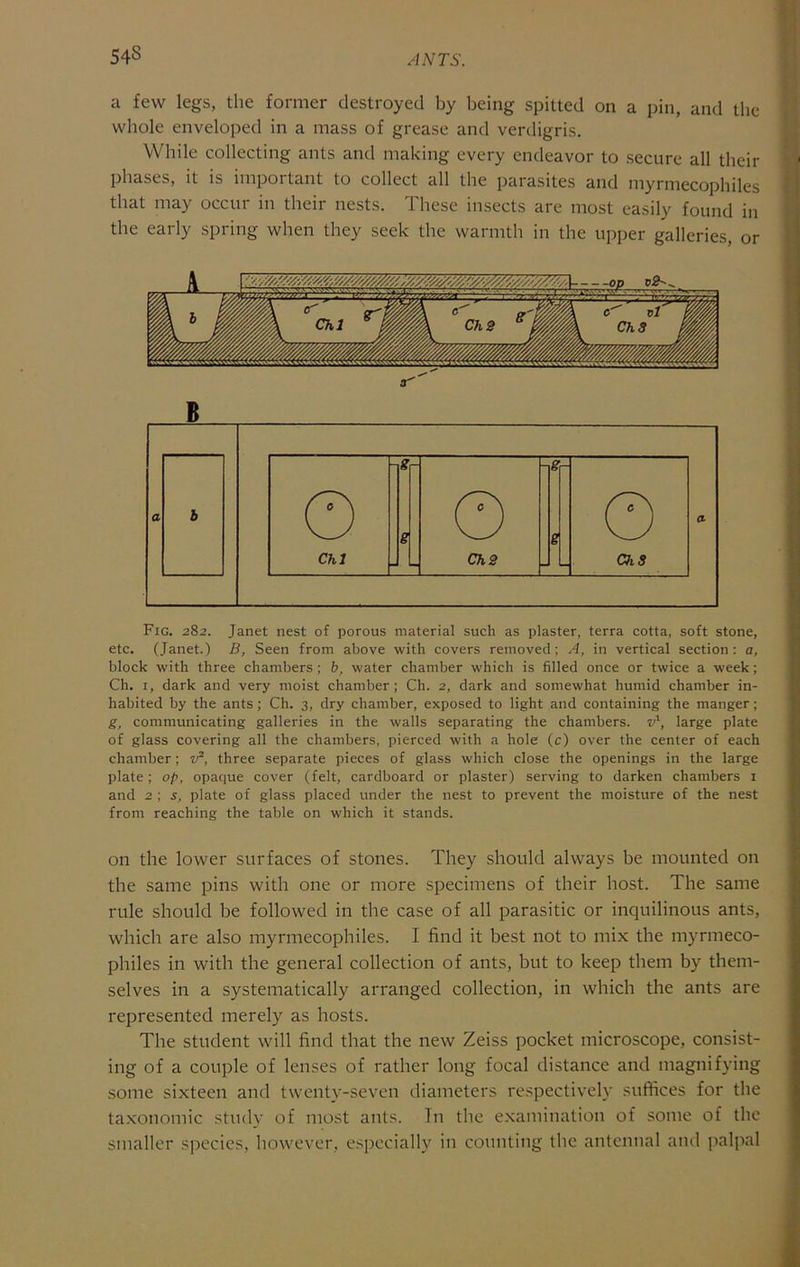 54S a few legs, the former destroyed by being spitted on a pin, and the whole enveloped in a mass of grease and verdigris. While collecting ants and making every endeavor to secure all their phases, it is important to collect all the parasites and myrmecophiles that may occur in their nests. These insects are most easily found in the early spring when they seek the warmth in the upper galleries, or o' Fig. 282. Janet nest of porous material such as plaster, terra cotta, soft stone, etc. (Janet.) B, Seen from above with covers removed; A, in vertical section: a, block with three chambers ; b, water chamber which is filled once or twice a week; Ch. I, dark and very moist chamber; Ch. 2, dark and somewhat humid chamber in- habited by the ants ; Ch. 3, dry chamber, exposed to light and containing the manger; g, communicating galleries in the walls separating the chambers, f', large plate of glass covering all the chambers, pierced with a hole (c) over the center of each chamber; v‘, three separate pieces of glass which close the openings in the large plate ; op, opaque cover (felt, cardboard or plaster) serving to darken chambers i and 2 ; s, plate of glass placed under the nest to prevent the moisture of the nest from reaching the table on which it stands. on the lower surfaces of stones. They should always be mounted on the same pins with one or more specimens of their host. The same rule should be followed in the case of all parasitic or inquilinous ants, which are also myrmecophiles. I find it best not to mix the myrmeco- philes in with the general collection of ants, but to keep them by them- selves in a systematically arranged collection, in which the ants are represented merely as hosts. The student will find that the new Zeiss pocket microscope, consist- ing of a couple of lenses of rather long focal distance and magnifying some sixteen and twenty-seven diameters respectively suffices for the taxonomic study of most ants. In the e.xaniination of some of the smaller species, however, e.specially in counting the antennal and palpal