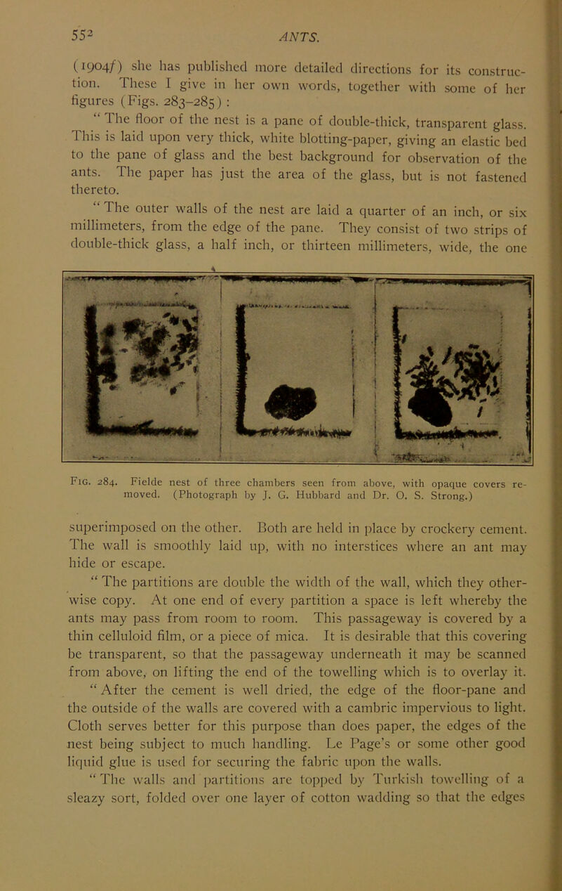 (1904/) she has published more detailed directions for its construc- tion. These I give in her own words, together with some of her figures (Figs. 283-285) : “ The floor of the nest is a pane of double-thick, transparent glass. This is laid upon very thick, white blotting-paper, giving an elastic bed to the pane of glass and the best background for observation of the ants. The paper has just the area of the glass, but is not fastened thereto. The outer walls of the nest are laid a quarter of an inch, or six millimeters, from the edge of the pane. They consist of two strips of double-thick glass, a half inch, or thirteen millimeters, wide, the one Fig. 284. Fielde nest of three chambers seen from above, with opaque covers re- moved. (Photograph by J. G. Hubbard and Dr. O. S. Strong.) superimposed on the other. Both are held in place by crockery cement. The wall is smoothly laid up, with no interstices where an ant may hide or escape. “ The partitions are double the width of the wall, which they other- wise copy. At one end of every partition a space is left whereby the ants may pass from room to room. This passageway is covered by a thin celluloid film, or a piece of mica. It is desirable that this covering be transparent, so that the passageway underneath it may be scanned from above, on lifting the end of the towelling which is to overlay it. “ After the cement is well dried, the edge of the floor-pane and the outside of the walls are covered with a cambric impervious to light. Cloth serves better for this purpose than does paper, the edges of the nest being subject to much handling. Le Page’s or some other good liquid glue is used for securing the fabric upon the walls. “ The walls and partitions are topped by Turki.sh towelling of a sleazy sort, folded over one layer of cotton wadding so that the edges