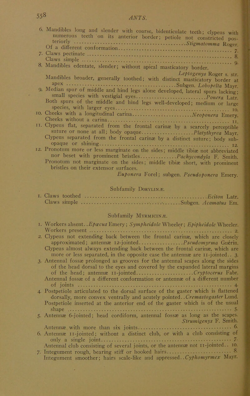 55^ ANTS. 6. Mandibles long and slender with coarse, bidenticulate teeth; clypeus with nuineioiis teeth on its anterior border; petiole not constricted pos- J Stigmatomma Roger. 7- Claws pectinate g' Claws simple ^ 8. Mandibles edentate, slender; without apical masticatory border. A, 1 , , „ Roger s. str. Mandibles broader, generally toothed; with distinct masticatory border at Subgen. Lobopella Mayr. 9, Median spur of middle and hind legs alone developed, lateral spurs lacking; small species with vestigial eyes Ponera Latr'. Both spurs of the middle and hind legs well-developed; medium or large species, with larger eyes jq 10. Cheeks with a longitudinal carina Neoponera Emery. Cheeks without a carina ,, 11. Clypeus flat, separated from the frontal carinse by a scarcely perceptible suture or none at all; body opaque Platythvrea Mayr. Clypeus separated from the frontal carime by a distinct suture; body sub- opaque or shining j2 12. Pronotum more or less marginate on the sides; middle tibiae not abbreviated nor beset with prominent bristles... Pachycondyla F. Smith. Pronotum not marginate on the sides; middle tibiae short, with prominent bristles on their extensor surfaces. Euponera Forel; subgen. Pscudoponera Emery. Subfamily Dorylin/Tj. I. Claws toothed Eciton Latr. Claws simple • Subgen. Acamatus Em. Subfamily MYRMiciNyE. 1. Workers absent. .E/>(rn(jEmery; Symphcidole Epiphcidolc Wheder. Workers present ' 2. 2. Clypeus not extending back between the frontal carinse, which are closely approximated; antennae i2-jointed Pscudomynna Guerin. Clypeus almost always extending back between the frontal carinae, which are more or less separated, in the opposite case the antennae are ii-jointed.. 3. 3. Antennal fossae prolonged as grooves for the antennal scapes along the sides of the head dorsal to the eyes and covered by the expanded lateral margins of the head; antennae ii-jointed Cryptocerus Fabr. Antennal fossae of a different conformation or antennae of a different number of joints 4- 4. Postpetiole articulated to the dorsal surface of the gaster which is flattened dorsally, more convex ventrally and acutely pointed. .Crcmaj/ogaj/cr Lund. Postpetiole inserted at the anterior end of the gaster which is of the usual shape 5- 5. Antennae 6-jointed; head cordiform, antennal fossae as long as the scapes. Strumigenys F. Smith. Antennae with more than six joints 6. 6. Antennae ii-jointed; without a distinct club, or with a club consisting of only a single joint /• Antennal club consisting of several joints, or the antennae not ii-jointcd.. 10. Integument smoother; hairs scale-like and appressed. .Cy/>/iomyniii’.r Mayr. )