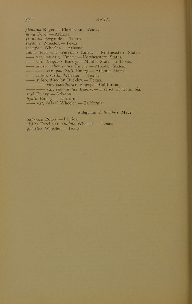 planatus Roger. — Florida and Texas. mina Ford. — Arizona. frontalis Pergande. — Texas. texanus Wheeler. — Texas. sclueffcri Wheeler. — Arizona. fallax Nyl. var. nearcticus Emery. — Northeastern States. var. minutus Emery. — Northeastern States. var. decipicns Emery. — Middle States to Texas. subsp. subbarbatus Emery. — Atlantic States. var. paucipilis Emery. — Atlantic States. subsp. rasilis Wheeler. — Texas. subsp. discolor Buckley. — Texas. var. clarithorax Emery. — California. var. cncmidatus Emery. — District of Columbia. sayi Emery. — Arizona. hyatti Emery. — California. var. bakcri Wheeler. — California. Subgenus Colobopsis Mayr. impressa Roger. — Florida. abdita Forel var. etiolata Wheeler. — Texas.