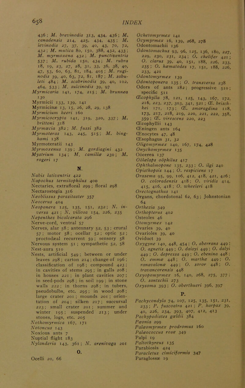 436; M. brevinodis 313, 434, 436; M, canadensis 214, 425, 434, 435; M. levinodis 27, 37, 39, 40, 43, 70, 72, 432; M. mutica 80, 150, 388, 432, 433; M. myrmoxena 432; M. punctiventris 537 ; M. rubida 150, 434; M. rubra 18, 19, 23, 27, 28, 31. 33. 36, 38, 40. 47, S3. 60, 63, 81, 184, 40s ; M. rugi- nodis 39, 40, 63, 72, 81, 187; M. sabu- leti 484; M. scabrinodis 39, 40, 102, 464, 533 ; M. sulcinodis 39, 97 Myrmicaria 141, 174, 215; M. brunnea 130 Myrmicii 133, 139, 141 Myrmicinae 13, 15, 26, 28, 29, 138 Myrmicium heeri 160 Myrmicocrypta 141, 319, 320, 337; M. brittoni 318 Myrmcecia 382 ; M. fussi 382 Myrmoteras 143, 245, 515; M. bing- hami 138 Myrmoteratii 143 Myrmoxenus 139; M. gordiagini 432 Mystrium 134; M. Camilla; 230; M. rogeri 17 N. Nabis lativentris 422 Napochus termitophilus 400 Nectaries, extrafloral 299; floral 298 Nectarostegia 316 Neoblissus parasitaster 357 Neocertis 404 Neoponera 125, 135, 151, 232; N. in- versa 421 ; N. villosa 154, 226, 235 Nepenthes bicalcarata 296 Nerve-cord, ventral 57 Nerves, alar 58; antennary 52, 53; crural 57; motor 58; ocellar 52; optic 52; proctodaeal recurrent 59; sensory 58 Nervous system 51 ; sympathetic 52, 58 Nest-aura 510 Nests, artificial 549; between or under leaves 298; carton 214; change of 196; classification of 198; compound 423 ; in cavities of stems 295 ; in galls 208 ; in houses 221; in plant cavities 207; in seed-pods 298 ; in soil 199 ; in stone walls 222; in thorns 298; in tubers, pseudobulbs, etc. 295; in wood 208; large crater 201 ; mounds 201 ; orien- tation of 204; silken 217; succursal 223; small crater 201; summer and winter 195 ; suspended 213 ; under stones, logs, etc. 205 Nothomyrmica 167, 171 Noloncus 143 Noxious ants 7 Nuptial flight 183 Nylanderia 143, 361 ; N. arenivaga 201 O. Ochetomyrmex 141 Ocymyrmex 16, 139, 268, 278 Odontomachii 136 Odontomachus 93, 96, 125, 136, 180, 227, 229, 230, 231, 234; O. chelifer 421; O. clarus 39, 40, 151, i88, 226, 233, 235; O. hcnnatodes 17, 151, 188, 226, 233, 421 Odontomyrmex 139 Odontoponera 135; 0. transverse 238 Odors of ants 182; progressive 510; specific 511 (Ecophylla 78, 121, 125, 143, 167, 172, 216, 223, 237, 303, 341, 521 ; (E. brisch- kei 171, 173; CE. smaragdina 118, 173. 217, 218, 219, 220, 221, 222, 358, 359 ; CE. virescens 220, 223 CEcophyllii 143 CEningen ants 164 CEnocytes 47, 48 CEsophagus 31, 32 Oligomyrmex 140, 167, 174, 428 Onychomyrmex 135 Oocerea 137 Oolcelaps odphilus 417 Ophthalmopone 135, 233; O. ilgi 240 Opisthopsis 144; O. respiciens 17 Orasema 95, 99, 106, 412, 418, 421, 426; O. coloradensis 418; O. viridis 414, 415, 416, 418; 0. wheeleri 418 Orectognathus 141 Organs, chordotonal 62, 63; Johnstonian 64 Orthezia 349 Orthopterus 402 Osteoles 46 Otomyrmex 142 Ovaries 39, 40 Ovarioles 39, 40 Oviduct 39 0.rygyne 140, 448, 454 ; O. aberrans 449; O. agnetis 449 ; 0. daisyi 449; O. dalyi 449 ; O. depressa 449 ; 0. ebenina 448 ; O. emmcB 448; O. inartha: 449; O. ranavalonee 449; O. soror 448; 0. travancorensis 448 Oxyopomyrmex 16, 140, 268, 275, 377: O. santschii 273 Oxysoma 393; O. oberthueri 396, 397 P. Pachycondyla 74, 107, 125, 135, 151, 231, 233; P. fuscoaira 421 ; P. harpax 39, 40, 226, 234, 393, 407, 412, 413 Pachypodistes gacldii 384 Pa;onia 299 Pala;omyrmex prodromus 160 Palaococcus rosm 349 Palpi 19 Paltothyrens 135 Parabiosis 424 Paracletus cimiciformis 347 Paraglosste 19 Ocelli 20, 66