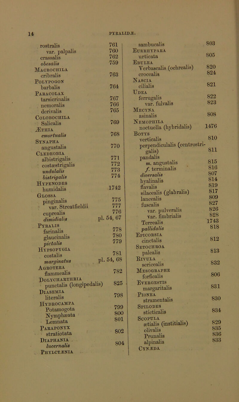 rostralis var. palpalis crassalia obesalis Maceochila cribralis POLTPOGOK barbalia Paeacolax taraicrinalia nemoralia derivalia COLOBOCHILA Salicalia ^THIA emortualis Stnapha anguatalia Cledeobia albiatrigalia coatseatrigalis undulalis hisirigalis Htpexodes bumidalis GiosaA pinginalia var. Streatfieldii cuprealia dimidialis 761 760 762 759 763 764 767 766 765 769 768 770 771 772 773 774 1742 775 777 776 pi. 54, 67 PXBAEIS farinalia glaucinalia pictalis Htpsopxgia coatalis marginatus 778 780 779 781 pi. 54, 68 Agboteea ^ flammealis Dolxohabthbia punctalia (longipfidalia) 782 825 Diasemia literalia Hybeocampa Potamogota NyBiphseata Lenmata Pabaponxx stratiotata Diaphaeia . lucernalis 798 799 800 801 802 804 PHXXCTiENIA aambucalia 803 EtruBnxi'AEA urticata 805 Ebulea Verbaacalia (ochrealis) 820 crocealia 824 Na8CIA cilialia 821 Udea ferrugalia 822 var. fulvalia 823 Mecxna aainalia 808 Nemophila noctuella (bybridalia) 1476 Botxs verticalia 810 pGrpeiidiculalia ^centroatri- galia) 811 pandaha m. anguatalia f, terminalia 816 diversalis 807 byalinalia 814 r>i t~\ flavalia 819 ailacealia (glabralia) 817 lancealia 809 fuacalia 827 var. pulveralia 826 var. fimbrialia 828 Terrealia 1743 pallidalis 818 Epicobsia cinctalia 812 Setochboa palealia 813 Eixpea aericeaUa 832 Mesogbaphe forficalia 800 ExEBGEaTia maxgaritalia 831 PlONEA atramentalia 830 Spieopes aticticalis 834 ScoPxrxA setialia (institiaha) 829 olivalia 835 Prunalia 836 alpinalis 833 CXN./EnA