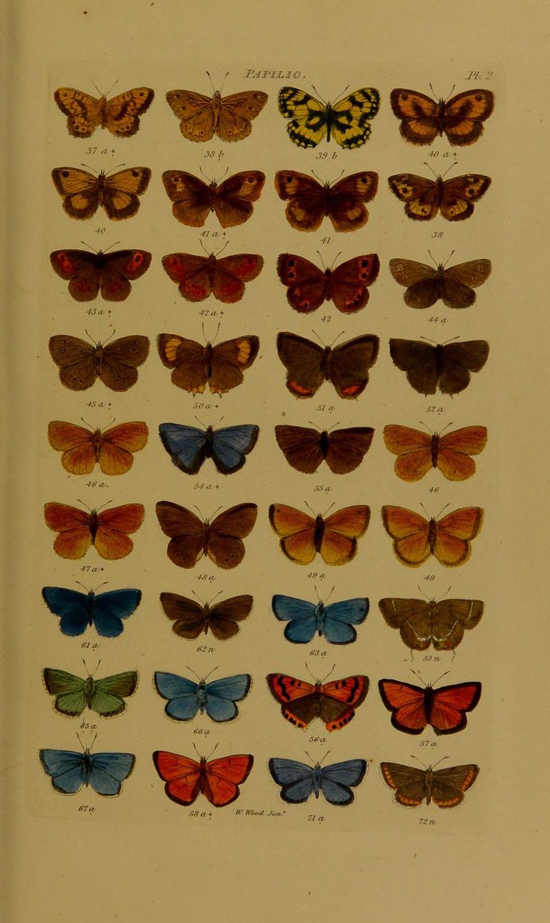 61 Oy 47 ct/^ 46^ 62tv 49 iL 63 a 66 a + Wooii. lun r 71 rt 72 n.