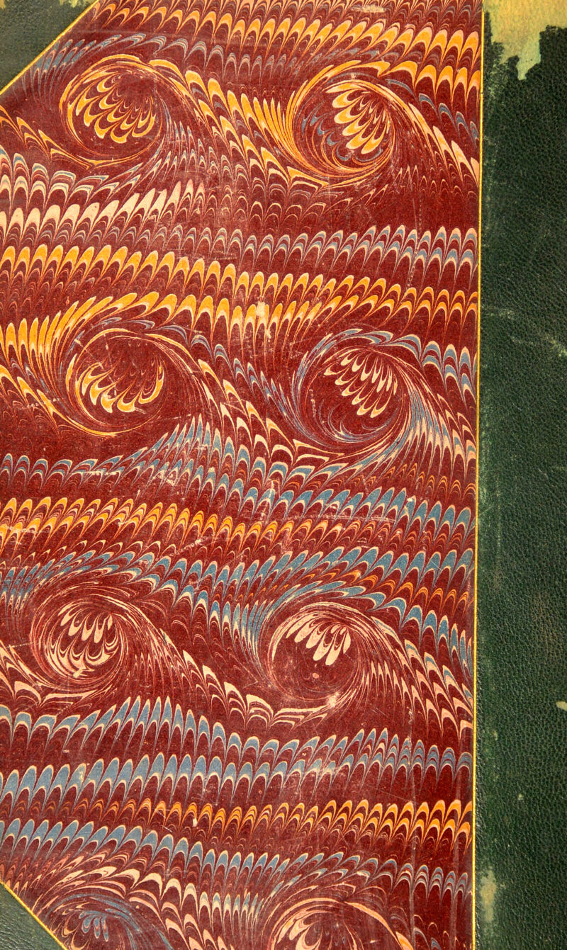 & Tf n fTf } tT\mB .;i W 141 T^ra ^^BSSsjSg w^jBK ' ?ya iSBitjK, f£gic^i P^^l R||B||h^