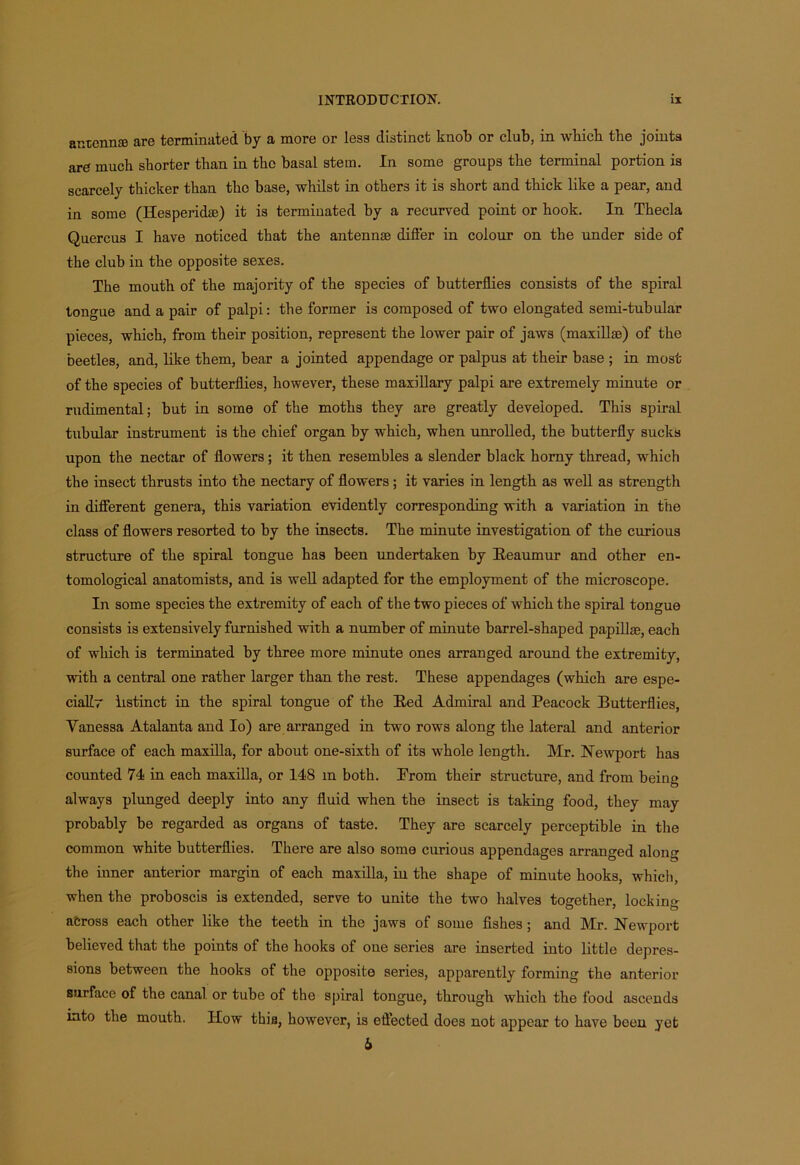 antennas are terminated by a more or less distinct knob or club, in which the joints are much shorter than in the basal stem. In some groups the terminal portion is scarcely thicker than the base, whilst in others it is short and thick like a pear, and in some (Hesperidae) it is terminated hy a recurved point or hook. In Thecla Quercus I have noticed that the antennae differ in colour on the under side of the club in the opposite sexes. The mouth of the majority of the species of butterflies consists of the spiral tongue and a pair of palpi: the former is composed of two elongated semi-tubular pieces, which, from their position, represent the lower pair of jaws (maxillae) of the beetles, and, like them, bear a jointed appendage or palpus at their base ; in most of the species of butterflies, however, these maxillary palpi are extremely minute or rudimental; but in some of the moths they are greatly developed. This spiral tubular instrument is the chief organ by which, when unrolled, the butterfly sucks upon the nectar of flowers; it then resembles a slender black horny thread, which the insect thrusts into the nectary of flowers ; it varies in length as well as strength in different genera, this variation evidently corresponding with a variation in the class of flowers resorted to by the insects. The minute investigation of the curious structure of the spiral tongue has been undertaken by Reaumur and other en- tomological anatomists, and is well adapted for the employment of the microscope. In some species the extremity of each of the two pieces of which the spiral tongue consists is extensively furnished with a number of minute barrel-shaped papillae, each of which is terminated by three more minute ones arranged around the extremity, with a central one rather larger than the rest. These appendages (which are espe- cialLr listinct in the spiral tongue of the Red Admiral and Peacock Butterflies, Vanessa Atalanta and Io) are arranged in two rows along the lateral and anterior surface of each maxilla, for about one-sixth of its whole length. Mr. Newport has counted 74 in each maxilla, or 148 m both. Prom their structure, and from being always plunged deeply into any fluid when the insect is taking food, they may probably be regarded as organs of taste. They are scarcely perceptible in the common white butterflies. There are also some curious appendages arranged along the inner anterior margin of each maxilla, in the shape of minute hooks, which, when the proboscis is extended, serve to unite the two halves together, locking across each other like the teeth in the jaws of some fishes; and Mr. Newport believed that the points of the hooks of one series are inserted into little depres- sions between the hooks of the opposite series, apparently forming the anterior surface of the canal, or tube of the spiral tongue, through which the food ascends into the mouth. ITow this, however, is efiected does not appear to have been yet 6