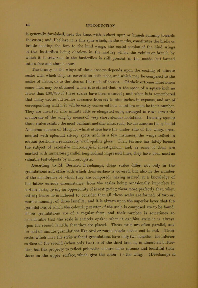 is generally furnished, near the base, with a short spur or branch running towards the costa; and, I believe, it is this spur which, in the moths, constitutes the bridle of bristle hooking the fore to the hind wings, the costal portion of the hind wings of the butterflies being obsolete in the moths; whilst the veinlet or branch by which it is traversed in the butterflies is still present in the moths, but formed into a free and simple spur. The beauty of the wings of these insects depends upon the coating of minute scales with which they are covered on both sides, and which may be compared to the scales of fishes, or to the tiles on the roofs of houses. Of their extreme minuteness some idea may be obtained when it is stated that in the space of a square inch no fewer than 100,736 of these scales have been counted ; and when it is remembered that many exotic butterflies measure from six to nine inches in expanse, and are of corresponding width, it will be easily conceived how countless must be their number. They are inserted into minute cells or elongated cups, arranged in rows across the membrane of the wing by means of very short slender footstalks. In many species these scales exhibit the most brilliant metallic tints, such, for instance, as the splendid American species of Morpho, whilst others have the under side of the wings orna- mented with splendid silvery spots, and, in a few instances, the wings reflect in certain positions a remarkably vivid opaline gloss. Their texture has lately formed the subject of extensive microscopical investigation; aud, as some of them are marked with numerous parallel longitudinal impressed lines, they have been used as valuable test-objects by microscopists. According to M. Bernard Deschamps, these scales differ, not only in the granulations and striae with which their surface is covered, but also in the number of the membranes of which they are composed; having arrived at a knowledge of the latter curious circumstance, from the scales being occasionally imperfect in certain parts, giving an opportunity of investigating them more perfectly than when entire; hence he is induced to consider that all these scales are formed of two or, more commonly, of three lamellae; and it is always upon the superior layer that the granulations of which the colouring matter of the scale is composed are to be found. These granulations are of a regular form, and their number is sometimes so considerable that the scale is entirely opake; when it exhibits striae it is always upon the second lamella that they are placed. These striae are often parallel, aud formed of minute granulations like oval or round pearls placed end to end. Tbos« scales which have the striae without granulations have only two lamellae: the inferior surface of the second (when only two) or of the third lamella, in almost all butter- flies, has the property to reflect prismatic colours more intense and beautiful than those on the upper surface, which give the colon to the wing. (Deschamps in