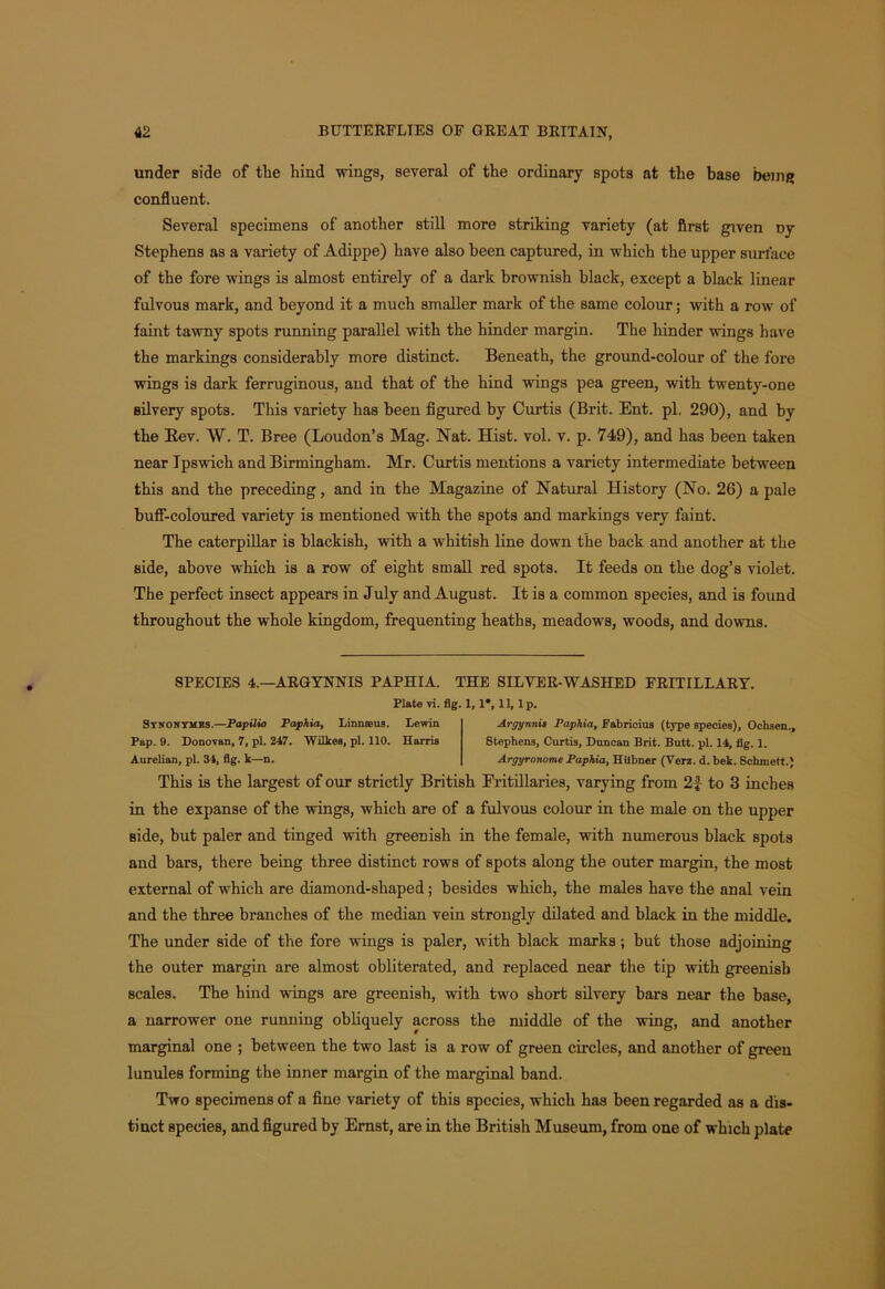 under side of the hind wings, several of the ordinary spots at the base being confluent. Several specimens of another still more striking variety (at first given Dy Stephens as a variety of Adippe) have also been captured, in which the upper surface of the fore wings is almost entirely of a dark brownish black, except a black linear fulvous mark, and beyond it a much smaller mark of the same colour; with a row of faint tawny spots running parallel with the hinder margin. The hinder wings have the markings considerably more distinct. Beneath, the ground-colour of the fore wings is dark ferruginous, and that of the hind wings pea green, with twenty-one silvery spots. This variety has been figured by Curtis (Brit. Ent. pi. 290), and by the Bev. W. T. Bree (Loudon’s Mag. Nat. Hist. vol. v. p. 749), and has been taken near Ipswich and Birmingham. Mr. Curtis mentions a variety intermediate between this and the preceding, and in the Magazine of Natural History (No. 26) a pale buff-coloured variety is mentioned with the spots and markings very faint. The caterpillar is blackish, with a whitish line down the back and another at the side, above which is a row of eight small red spots. It feeds on the dog’s violet. The perfect insect appears in July and August. It is a common species, and is found throughout the whole kingdom, frequenting heaths, meadows, woods, and downs. SPECIES 4.—ARGYNNIS PAPHIA. THE SILVER-WASHED FRITILLARY. Plate vi. fig. 1, 1*, 11, lp. Stnonymes.—Papilio Paphia, Linnceus. Lewin Pap. 9. Donovan, 7, pi. 247. Wilkes, pi. 110. Harris Anrelian, pi. 34, fig. k—n. Argynnia Paphia, Pabricius (type species), Ocksen., Stephens, Curtis, Dnncan Brit. Butt. pi. 14, fig. 1. ArgyronomePaphia, Hilbner (Verz. d. bek. Schmett.) This is the largest of our strictly British Eritillaries, varying from 2f to 3 inches in the expanse of the wings, which are of a fulvous colour in the male on the upper side, but paler and tinged with greenish in the female, with numerous black spots and bars, there being three distinct rows of spots along the outer margin, the most external of which are diamond-shaped; besides which, the males have the anal vein and the three branches of the median vein strongly dilated and black in the middle. The under side of the fore wings is paler, with black marks; but those adjoining the outer margin are almost obliterated, and replaced near the tip with greenish scales. The hind wings are greenish, with two short silvery bars near the base, a narrower one running obliquely across the middle of the wing, and another marginal one ; between the two last is a row of green circles, and another of green lunules forming the inner margin of the marginal band. Two specimens of a fine variety of this species, which has been regarded as a dis- tinct species, and figured by Ernst, are in the British Museum, from one of which plate
