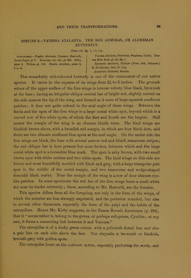 SPECIES 6.—VANESSA ATALANTA. THE RED ADMIRAL, OR ALDERMAN BUTTERFLY. Plate viii. fig. 1, 11, 1 p. Stnonymes.—Papilio Atalanta, Linnani'i, Haworth, Lewin Papil. pi. 7. Donovan, vol. viii., pi. 260. Albin, plate 3. Wilkes, pi. 106. Harris Aurelian, plate 6, f. a—h. Vanessa Atalanta, Fabricius, Stephens, Curtis. Dun- can Brit. Butt. pi. 20, fig. 1. Pyrameis Atalanta, Hiibner (Verz. bek. Schmett.) E. Doubleday, Gen. D. Lep. Ammiralis Atalanta, Bennie. This remarkably rich-coloured butterfly is one of the commonest of our native species. It varies in the expanse of its wings from 2| to 3 inches. The ground- colour of the upper surface of the fore wings is intense velvety blue black, brownish at the base ; having an irregular oblique central bar of bright red, slightly curved on the side nearest the tip of the wing, and formed as it were of large squarish confluent patches ; it does not quite extend to the anal angle of these wings. Between the fascia and the apex of the fore wings is a large costal white spot, beyond which is a curved row of five white spots, of which the first and fourth are the largest. Still nearer the margin of the wing is an obscure bluish wave. The hind wings are blackish brown above, with a broadish red margin, in which are four black dots, and there are two obscure confluent blue spots at the anal angle. On the under side the fore wings are black, the base with several narrow red and bluish transverse stripes; the red oblique bar is here present but more broken, between which and the large costal white spot is a horseshoe blue mark. The apex is ashy brown, with two small brown eyes with white centres and two white spots. The hind wings on this side are brown and most beautifully mottled with black and grey, with a large triangular pale spot in the middle of the costal margin, and two transverse and wedge-shaped discoidal black marks. Near the margin of the wing is a row of four obscure eye- like patches. In some specimens the red bar of the fore wings bears a small white dot near its hinder extremity; these, according to Mr. Haworth, are the females. This species differs from all the foregoing, not only in the form of the wings, of which the anterior are less strongly angulated, and the posterior rounded, but also in several other characters, especially the form of the palpi and the habits of the caterpillars. Hence Mr. Kirby suggests, in the Fauna Boreali Americana (p. 294), that it “seems rather to belong to the genus, or perhaps sub-genus, Cynthia; at any rate, it forms a connecting link between it and Vanessa.” '1 he caterpillar is of a dusky green eolour, with a yellowish dorsal line and also a pale line on each side above the feet. The chrysalis is brownish or blackish, beneath grey with golden spots. The caterpillar feeds on the common nettle, especially, preferring the seeds, and