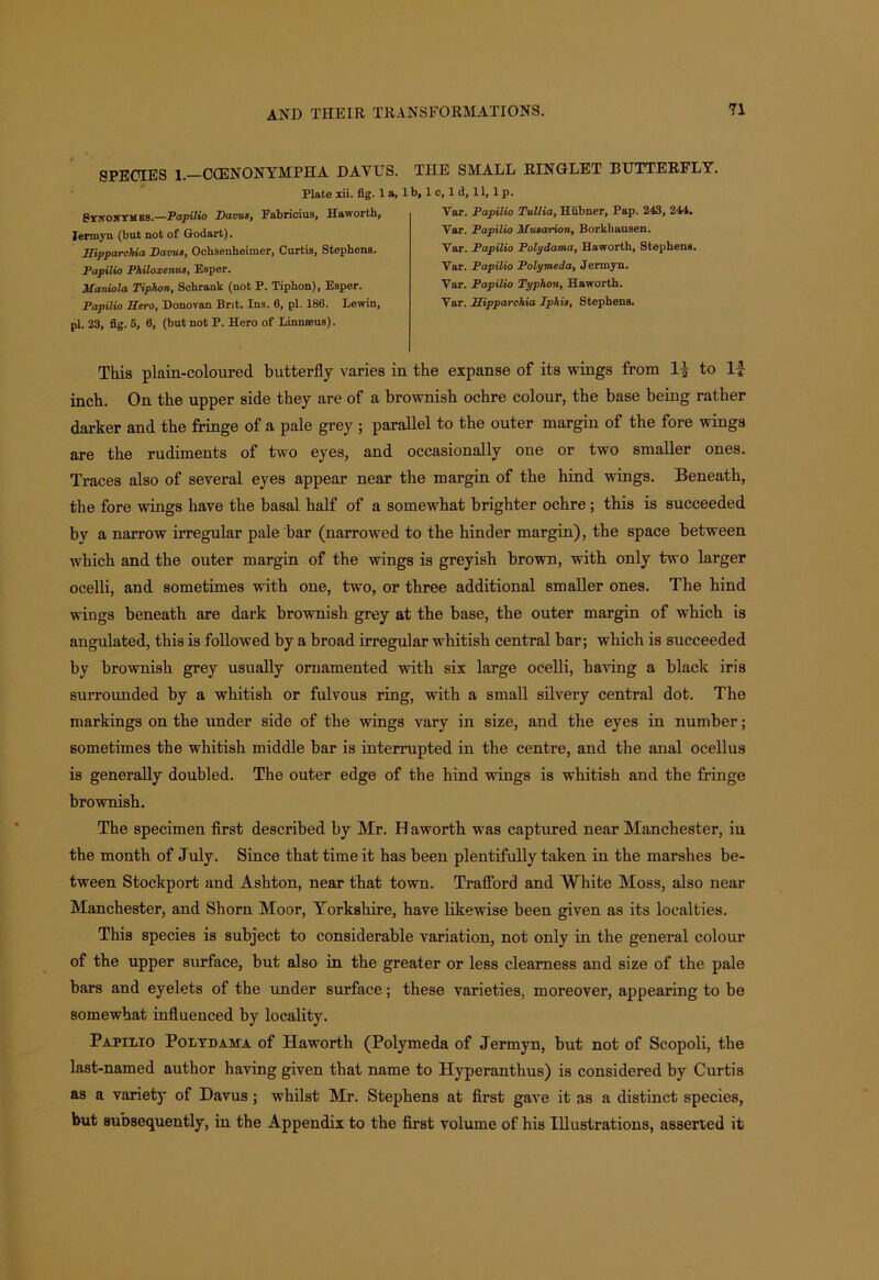 SPECIES 1. CCENONYMPHA DAVUS. THE SMALL RINGLET BUTTERFLY Plate xii. fig. 1 a, lb, 1 c, 1 d, 11, 1 p. Synonym bs.—Papilio Davus, Fabricius, Haworth, Jermyn (but not of Godart). Hipparchia Davus, Oohaenheimer, Curtis, Stephens. Papilio Philoxenus, Esper. Maniola Tiphon, Sehrank (not P. Tiphon), Esper. Papilio Kero, Donovan Brit. Ins. 6, pi. 186. Lewin, pi. 23, fig. 5, 6, (but not P. Hero of Linnaeus). Var. Papilio Tullia, Hiibner, Pap. 243, 244. Yar. Papilio Musarion, Borkhausen. Var. Papilio Polydama, Haworth, Stephens. Var. Papilio Polymeda, Jermyn. Var. Papilio Typhon, Haworth. Var. Sipparchia Iphis, Stephens. This plain-coloured butterfly varies in the expanse of its wings from 1| to 11- inch. On the upper side they are of a brownish ochre colour, the base being rather darker and the fringe of a pale grey ; parallel to the outer margin of the fore wings are the rudiments of two eyes, and occasionally one or two smaller ones. Traces also of several eyes appear near the margin of the hind wings. Beneath, the fore wings have the basal half of a somewhat brighter ochre; this is succeeded by a narrow irregular pale bar (narrowed to the hinder margin), the space between which and the outer margin of the wings is greyish brown, with only two larger ocelli, and sometimes with one, two, or three additional smaller ones. The hind wings beneath are dark brownish grey at the base, the outer margin of which is angulated, this is followed by a broad irregular whitish central bar; which is succeeded by brownish grey usually ornamented with six large ocelli, having a black iris surrounded by a whitish or fulvous ring, with a small silvery central dot. The markings on the under side of the wings vary in size, and the eyes in number; sometimes the whitish middle bar is interrupted in the centre, and the anal ocellus is generally doubled. The outer edge of the hind wings is whitish and the fringe brownish. The specimen first described by Mr. Haworth was captured near Manchester, in the month of July. Since that time it has been plentifully taken in the marshes be- tween Stockport and Ashton, near that town. Trafford and White Moss, also near Manchester, and Shorn Moor, Yorkshire, have likewise been given as its loealties. This species is subject to considerable variation, not only in the general colour of the upper surface, but also in the greater or less clearness and size of the pale bars and eyelets of the under surface; these varieties, moreover, appearing to be somewhat influenced by locality. Papilio Polydama of Haworth (Polymeda of Jermyn, but not of Scopoli, the last-named author having given that name to Hyperanthus) is considered by Curtis as a variety of Davus ; whilst Mr. Stephens at first gave it as a distinct species, but subsequently, in the Appendix to the first volume of his Illustrations, asserted it