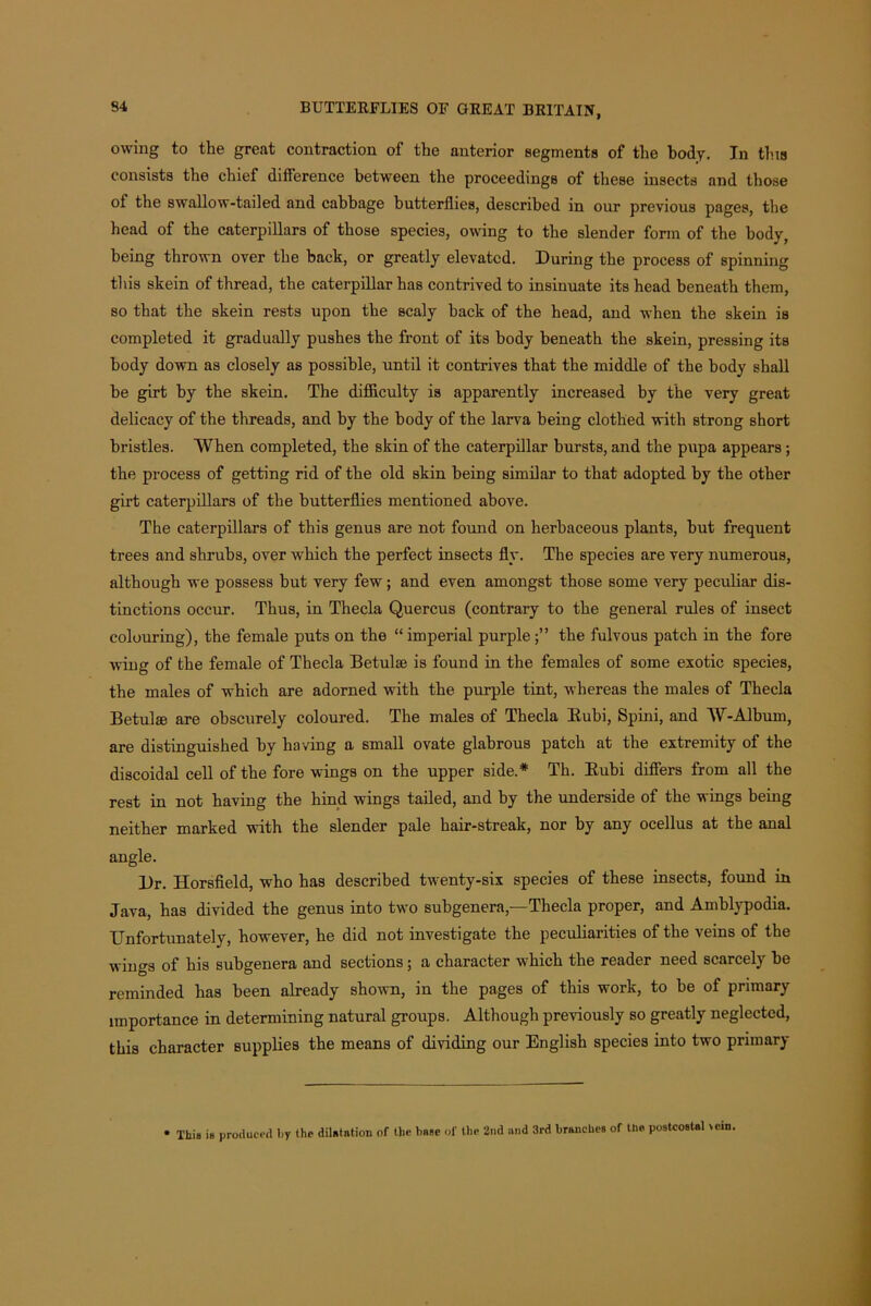 owing to the great contraction of the anterior segments of the body. In this consists the chief difference between the proceedings of these insects and those of the swallow-tailed and cabbage butterflies, described in our previous pages, the head of the caterpillars of those species, owing to the slender form of the body, being thrown over the back, or greatly elevated. During the process of spinning this skein of thread, the caterpillar has contrived to insinuate its head beneath them, so that the skein rests upon the scaly back of the head, and when the skein is completed it gradually pushes the front of its body beneath the skein, pressing its body down as closely as possible, until it contrives that the middle of the body shall be girt by the skein. The difficulty is apparently increased by the very great delicacy of the threads, and by the body of the larva being clothed with strong short bristles. When completed, the skin of the caterpillar bursts, and the pupa appears; the process of getting rid of the old skin being similar to that adopted by the other girt caterpillars of the butterflies mentioned above. The caterpillars of this genus are not found on herbaceous plants, but frequent trees and shrubs, over which the perfect insects fly. The species are very numerous, although we possess but very few; and even amongst those some very peculiar dis- tinctions occur. Thus, in Thecla Quercus (contrary to the general rules of insect colouring), the female puts on the “imperial purple the fulvous patch in the fore •wing of the female of Thecla Betulse is found in the females of some exotic species, the males of which are adorned with the purple tint, whereas the males of Thecla Betulse are obscurely coloured. The males of Thecla Bubi, Spini, and W-Album, are distinguished by having a small ovate glabrous patch at the extremity of the discoidal cell of the fore wings on the upper side.* Th. Bubi differs from all the rest in not having the hind wings tailed, and by the underside of the wings being neither marked with the slender pale hair-streak, nor by any ocellus at the anal angle. Dr. Horsfield, who has described twenty-six species of these insects, found in Java, has divided the genus into two subgenera,—Thecla proper, and Amblypodia. Unfortunately, however, he did not investigate the peculiarities of the veins of the wings of his subgenera and sections; a character which the reader need scarcely be reminded has been already shown, in the pages of this work, to be of primary importance in determining natural groups. Although previously so greatly neglected, this character supplies the means of dividing our English species into two primary • This is produced by the dilatation of the base of the 2nd and 3rd branches of the postcosUl >cin.