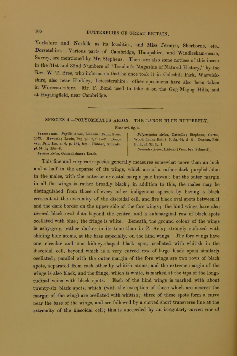 Yorkshire and Norfolk as its localities, and Miss Jermyn, Sherborne, etc., Dorsetshire. Various parts of Cambridge, Hampshire, and Windlesham-heath, Surrey, are mentioned by Mr. Stephens. There are also some notices of this insect m the 31st and 32nd Numbers of “Loudon’s Magazine of Natural History,” by the Eev. W. T. Bree, who informs us that he once took it in Coleshill Park, Warwick- shire, also near Hinkler, Leicestershire: other specimens have also been taken in Worcestershire. Mr. F. Bond used to take it on the Gog-Magog Hills, and at Haylingfield, near Cambridge. SPECIES 4.—POLYOMMATUS ARION. THE LARGE BLUE BUTTERFLY. Plate xvi. fig. 3. Polyommatus Arion, Latreille; Stephens j Curtis; Wood, Index Ent. t. 3, fig. 64, <J $. Duncan, Brit. Stnontmes.—Papilio Arion, Linnaeus. Faun. Suec. 1073. Haworth; Lewin, Pap. pi. 37, f. 1—2. Dono- van, Brit. Ins. v. 6, p. 184, fem. Hiibner, Schmett. pi. 64, fig. 254—6. Lyccena Arion, Ochsenheimer; Leach. Butt., pi. 32, fig. 1. Nomiades Arion, Hiibner (Verz. bek. Schmett). This fine and very rare species generally measures somewhat more than an inch and a halt in the expanse of its wings, which are of a rather dark purplish-blue in the males, with the anterior or costal margin pale brown ; but the outer margin in all the wings is rather broadly black; in addition to this, the males may be distinguished from those of every other indigenous species by having a black crescent at the extremity of the discoidal cell, and five black oval spots between it and the dark border on the upper side of the fore wings ; the hind wings have also several black oval dots beyond the centre, and a submarginal row of black spots ocellated with blue; the fringe is white. Beneath, the ground colour of the wings is ashy-grey, rather darker in its tone than in P. Acis; strongly suffused with shining blue atoms, at the base especially, on the hind wings. The fore wings have one circular and one kidney-shaped black spot, ocellated with whitish in the discoidal cell, beyond which is a very curved row of large black spots similarly ocellated; parallel with the outer margin of the fore wings are two rows of black spots, separated from each other by whitish atoms, and the extreme margin of the wings is also black, and the fringe, which is white, is marked at the tips of the longi- tudinal veins with black spots. Each of the hind wings is marked with about twenty-six black spots, which (with the exception of those which are nearest the margin of the wing) are ocellated with whitish; three of these spots form a curve near the base of the wings, and are followed by a curved short transverse line at the extremity of the discoidal cell; this is succeeded by an irregularly-curved row of