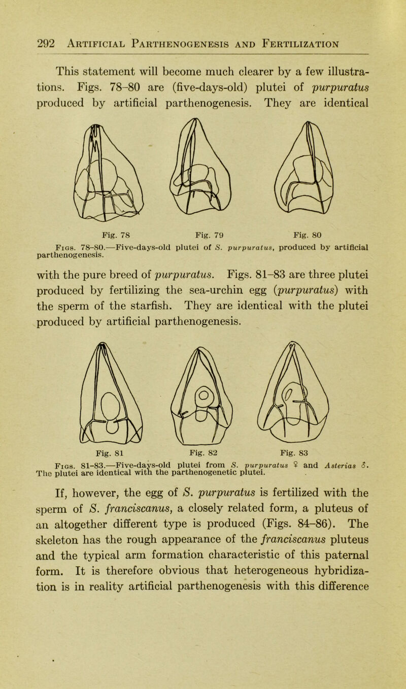 This Statement will become much clearer by a few illustra- tions. Figs. 78-80 are (five-days-old) plutei of purpuratus produced by artificial parthenogenesis. They are identical Fig. 79 Fig. 80 Figs. 78-80.—Five-days-old plutei of S. purpuratus, produced by artificial par thenog enesis. with the pure breed of purpuratus. Figs. 81-83 are three plutei produced by fertilizing the sea-urchin egg {purpuratus) with the sperm of the starfish. They are identical with the plutei produced by artificial parthenogenesis. Fig. 82 Fig. 83 Fig. 81 Figs. 81-83.—Five-days-old plutei from S. purpuratus 2 and Asterias $. The plutei are identical with the parthenogenetic plutei. If, however, the egg of S. purpuratus is fertilized with the sperm of S. franciscanus, a closely related form, a pluteus of au altogether different type is produced (Figs. 84-86). The skeleton has the rough appearance of the franciscanus pluteus and the typical arm formation characteristic of this paternal form. It is therefore obvious that heterogeneous hybridiza- tion is in reality artificial parthenogenesis with this difference