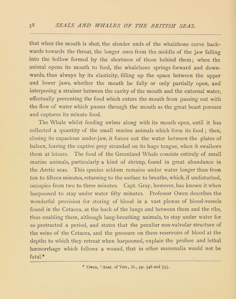 that when the mouth is shut, the slender ends of the whalebone curve back- wards towards the throat, the longer ones from the middle of the jaw falling into the hollow formed by the shortness of those behind them; when the animal opens its mouth to feed, the whalebone springs forward and down- wards, thus always by its elasticity, filling up the space between the upper and lower jaws, whether the mouth be fully or only partially open, and interposing a strainer between the cavity of the mouth and the external water, effectually preventing the food which enters the mouth from passing out with the flow of water which passes through the mouth as the great beast pursues and captures its minute food. The Whale whilst feeding swims along with its mouth open, until it has collected a quantity of the small marine animals which form its food ; then, closing its capacious under-jaw, it forces out the water between the plates of baleen, leaving the captive prey stranded on its huge tongue, when it swallows them at leisure. The food of the Greenland Whale consists entirely of small marine animals, particularly a kind of shrimp, found in great abundance in the Arctic seas. This species seldom remains under water longer than from ten to fifteen minutes, returning to the surface to breathe, which, if undisturbed, occupies from two to three minutes. Capt. Gray, however, has known it when harpooned to stay under water fifty minutes. Professor Owen describes the wonderful provision for storing of blood in a vast plexus of blood-vessels found in the Cetacea, at the back of the lungs and between them and the ribs, thus enabling them, although lung-breathing animals, to stay under water for so protracted a period, and states that the peculiar non-valvular structure of the veins of the Cetacea, and the pressure on these reservoirs of blood at the depths to which they retreat when harpooned, explain the profuse and lethal haemorrhage which follows a wound, that in other mammalia would not be fatal.* * Owen, ‘Anat. of Vert., iii., pp. 546 and 553.