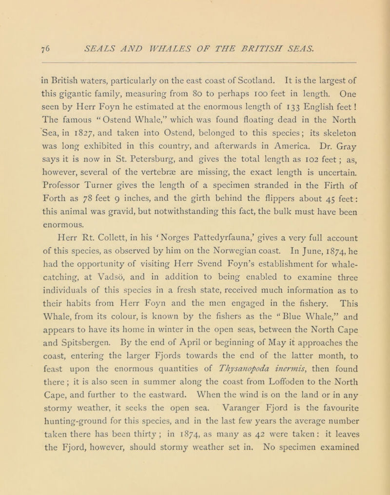 in British waters, particularly on the east coast of Scotland. It is the largest of this gigantic family, measuring from 80 to perhaps 100 feet in length. One seen by Herr Foyn he estimated at the enormous length of 133 English feet ! The famous “ Ostend Whale,” which was found floating dead in the North Sea, in 1827, and taken into Ostend, belonged to this species; its skeleton was long exhibited in this country, and afterwards in America. Dr. Gray says it is now in St. Petersburg, and gives the total length as 102 feet ; as, however, several of the vertebrae are missing, the exact length is uncertain. Professor Turner gives the length of a specimen stranded in the Firth of Forth as 78 feet 9 inches, and the girth behind the flippers about 45 feet: this animal was gravid, but notwithstanding this fact, the bulk must have been enormous. Herr Rt. Collett, in his ‘Norges Pattedyrfauna/ gives a very full account of this species, as observed by him on the Norwegian coast. In June, 1874, he had the opportunity of visiting Herr Svend Foyn’s establishment for whale- catching, at Vadso, and in addition to being enabled to examine three individuals of this species in a fresh state, received much information as to their habits from Herr Foyn and the men engaged in the fishery. This Whale, from its colour, is known by the fishers as the “ Blue Whale,” and appears to have its home in winter in the open seas, between the North Cape and Spitsbergen. By the end of April or beginning of May it approaches the coast, entering the larger Fjords towards the end of the latter month, to feast upon the enormous quantities of Thyscinopoda inermis, then found there ; it is also seen in summer along the coast from Loffoden to the North Cape, and further to the eastward. When the wind is on the land or in any stormy weather, it seeks the open sea. Varanger Fjord is the favourite hunting-ground for this species, and in the last few years the average number taken there has been thirty; in 1874, as many as 42 were taken: it leaves the Fjord, however, should stormy weather set in. No specimen examined